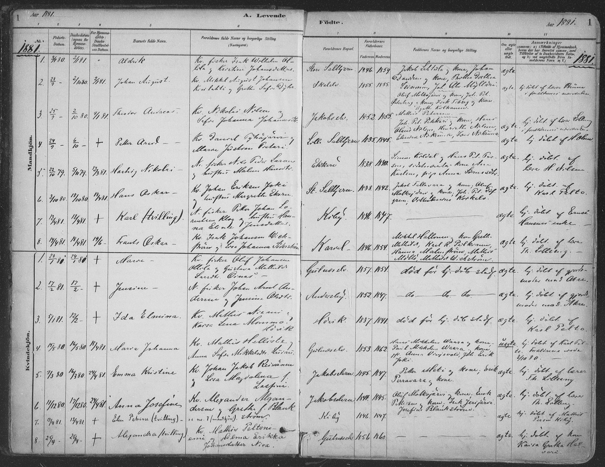 Vadsø sokneprestkontor, SATØ/S-1325/H/Ha/L0009kirke: Parish register (official) no. 9, 1881-1917, p. 1