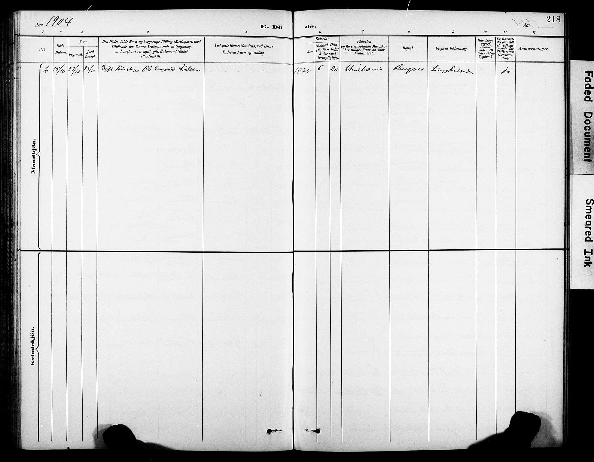 Krødsherad kirkebøker, AV/SAKO-A-19/G/Ga/L0002: Parish register (copy) no. 2, 1894-1918, p. 218