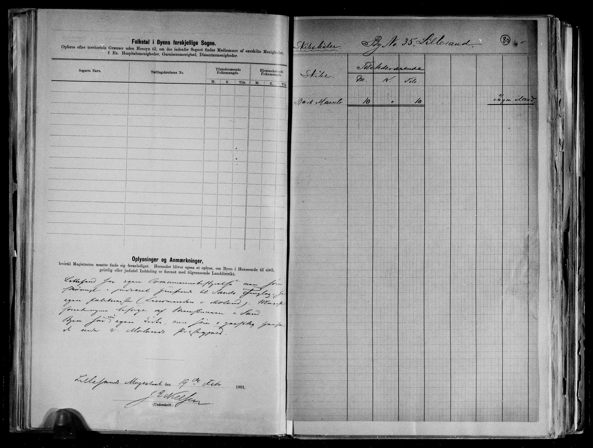 RA, 1891 census for 0905 Lillesand, 1891, p. 4