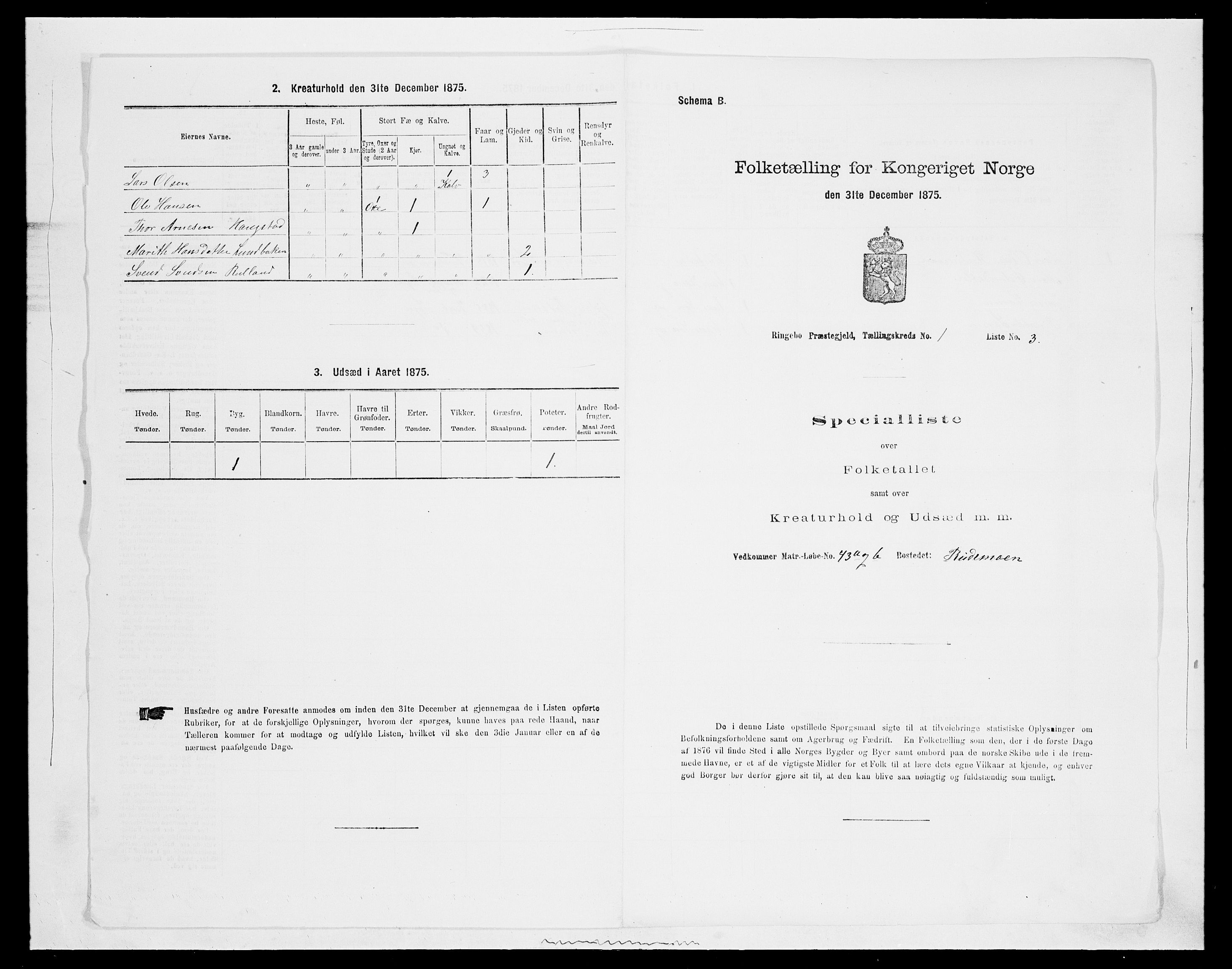 SAH, 1875 census for 0520P Ringebu, 1875, p. 89