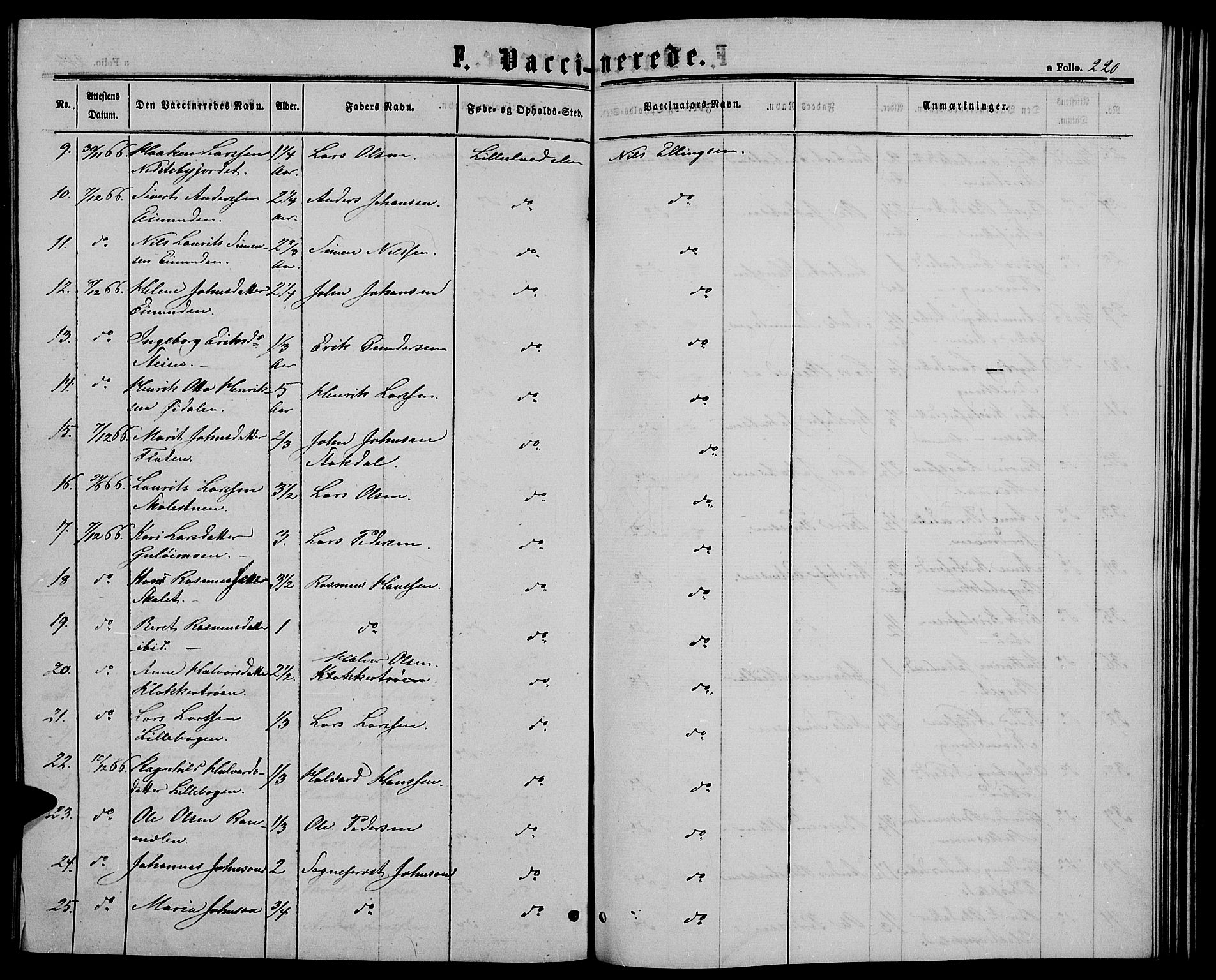 Alvdal prestekontor, AV/SAH-PREST-060/H/Ha/Hab/L0002: Parish register (copy) no. 2, 1863-1878, p. 220