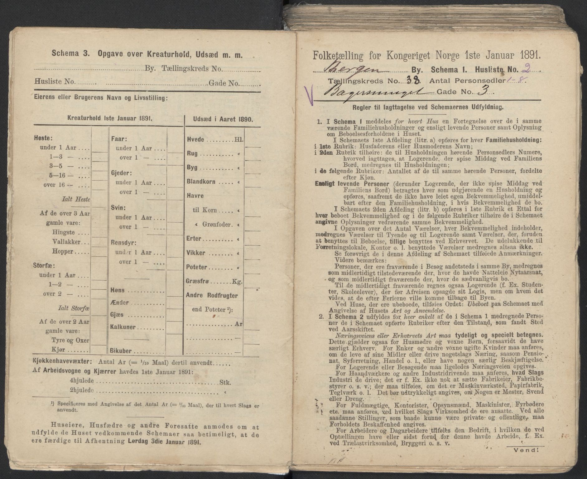 RA, 1891 Census for 1301 Bergen, 1891, p. 6080