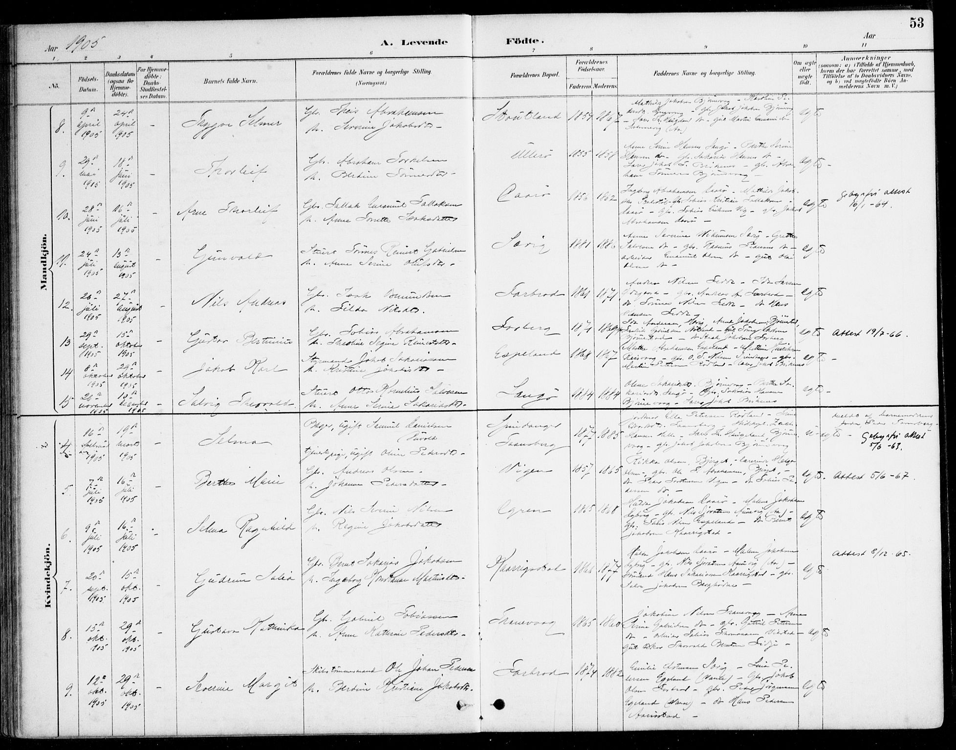 Herad sokneprestkontor, SAK/1111-0018/F/Fa/Fab/L0005: Parish register (official) no. A 5, 1886-1913, p. 53