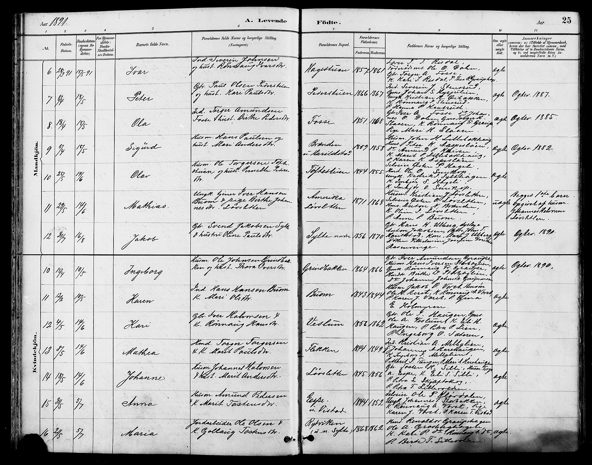 Nord-Fron prestekontor, AV/SAH-PREST-080/H/Ha/Hab/L0005: Parish register (copy) no. 5, 1884-1914, p. 25