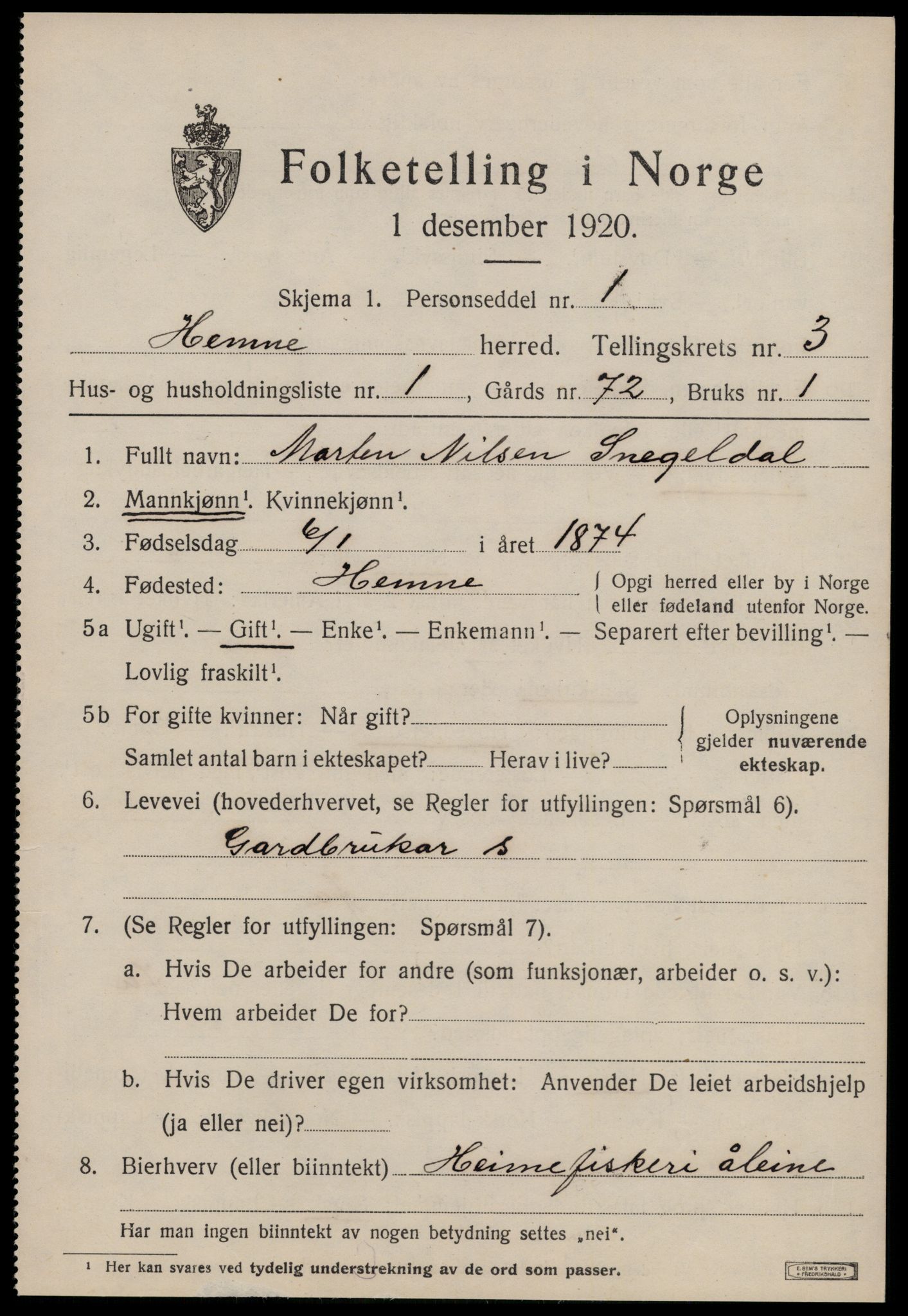 SAT, 1920 census for Hemne, 1920, p. 2138