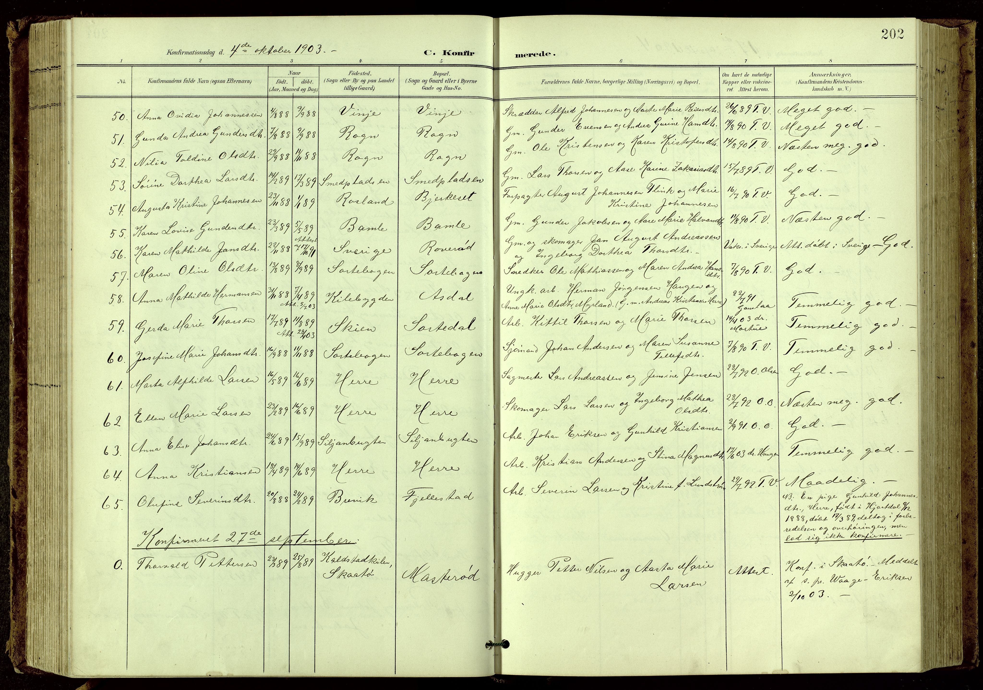 Bamble kirkebøker, SAKO/A-253/G/Ga/L0010: Parish register (copy) no. I 10, 1901-1919, p. 202