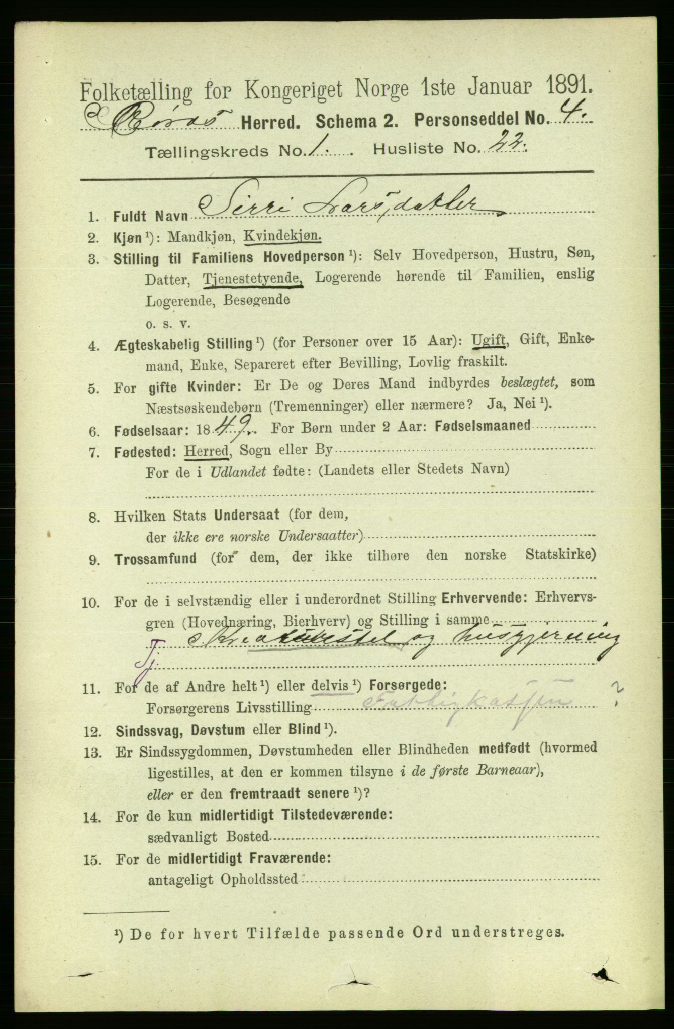 RA, 1891 census for 1640 Røros, 1891, p. 218