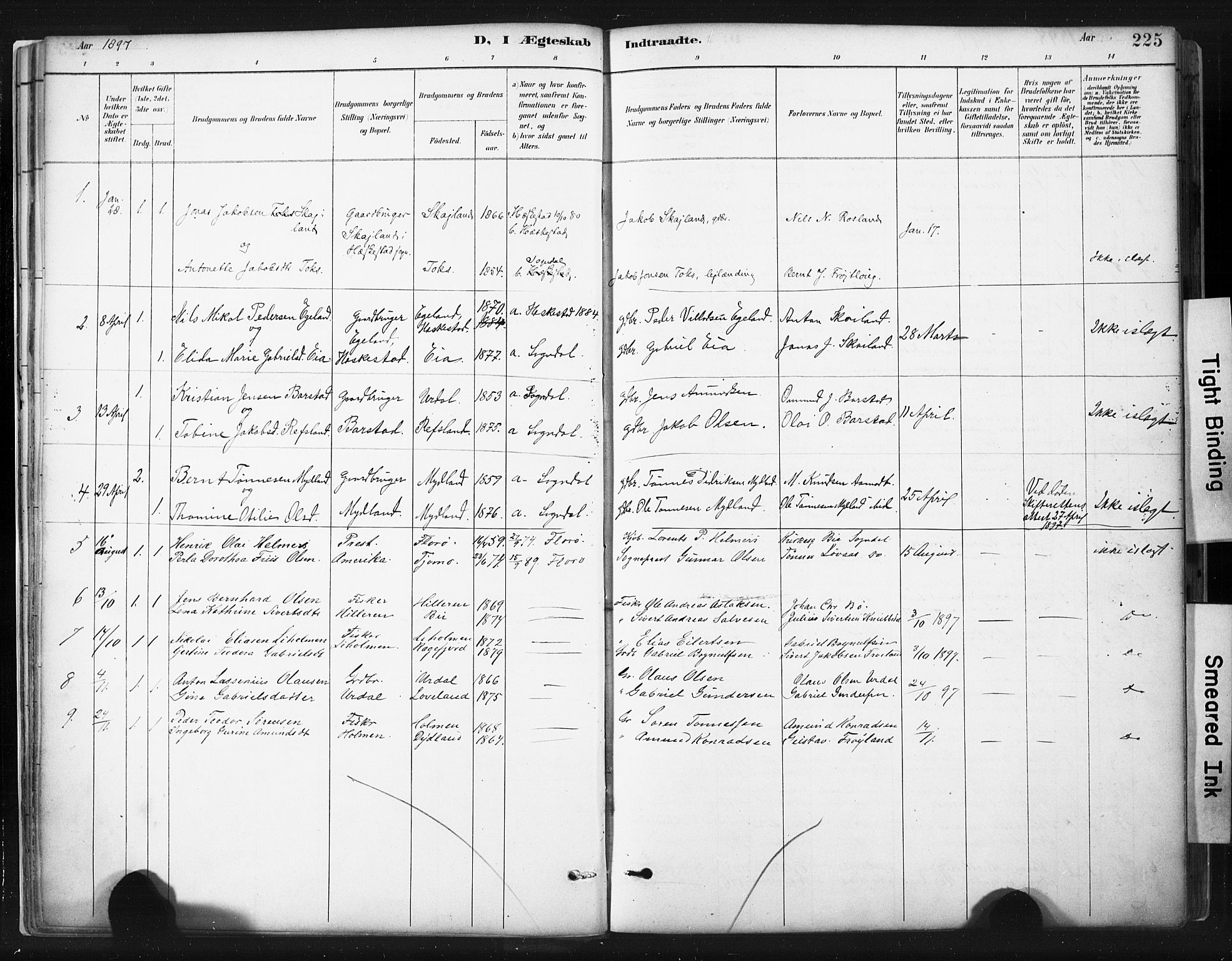 Sokndal sokneprestkontor, SAST/A-101808: Parish register (official) no. A 11.2, 1887-1905, p. 225