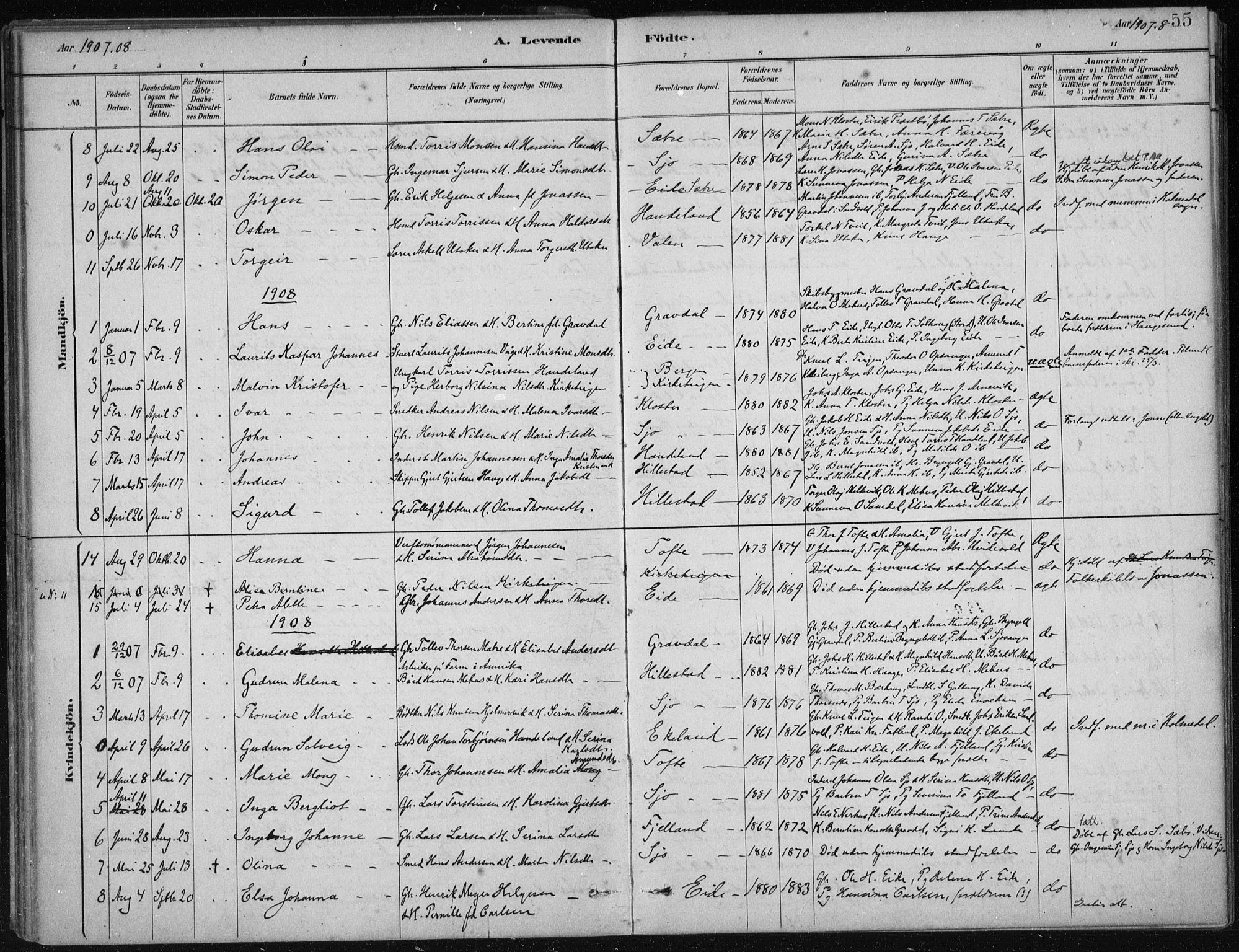 Fjelberg sokneprestembete, SAB/A-75201/H/Haa: Parish register (official) no. C  1, 1879-1918, p. 55