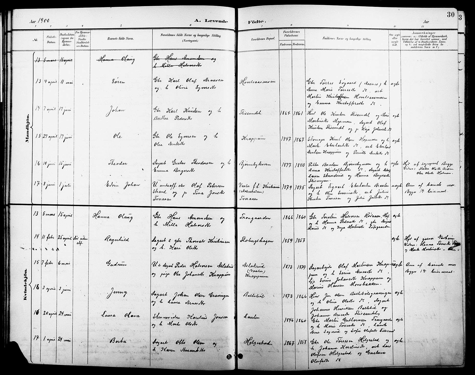 Åsnes prestekontor, AV/SAH-PREST-042/H/Ha/Hab/L0004: Parish register (copy) no. 4, 1895-1909, p. 30