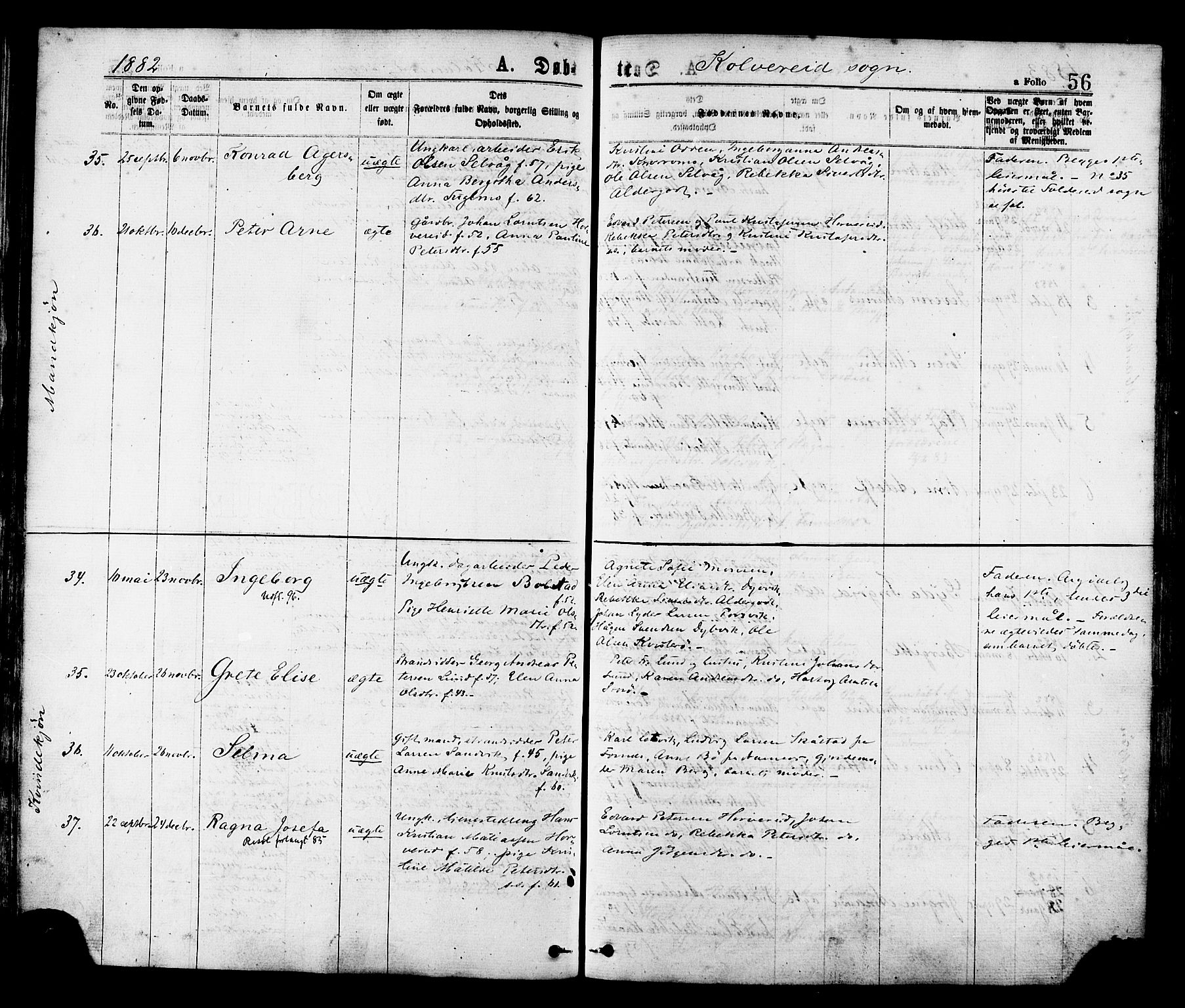 Ministerialprotokoller, klokkerbøker og fødselsregistre - Nord-Trøndelag, SAT/A-1458/780/L0642: Parish register (official) no. 780A07 /1, 1874-1885, p. 56