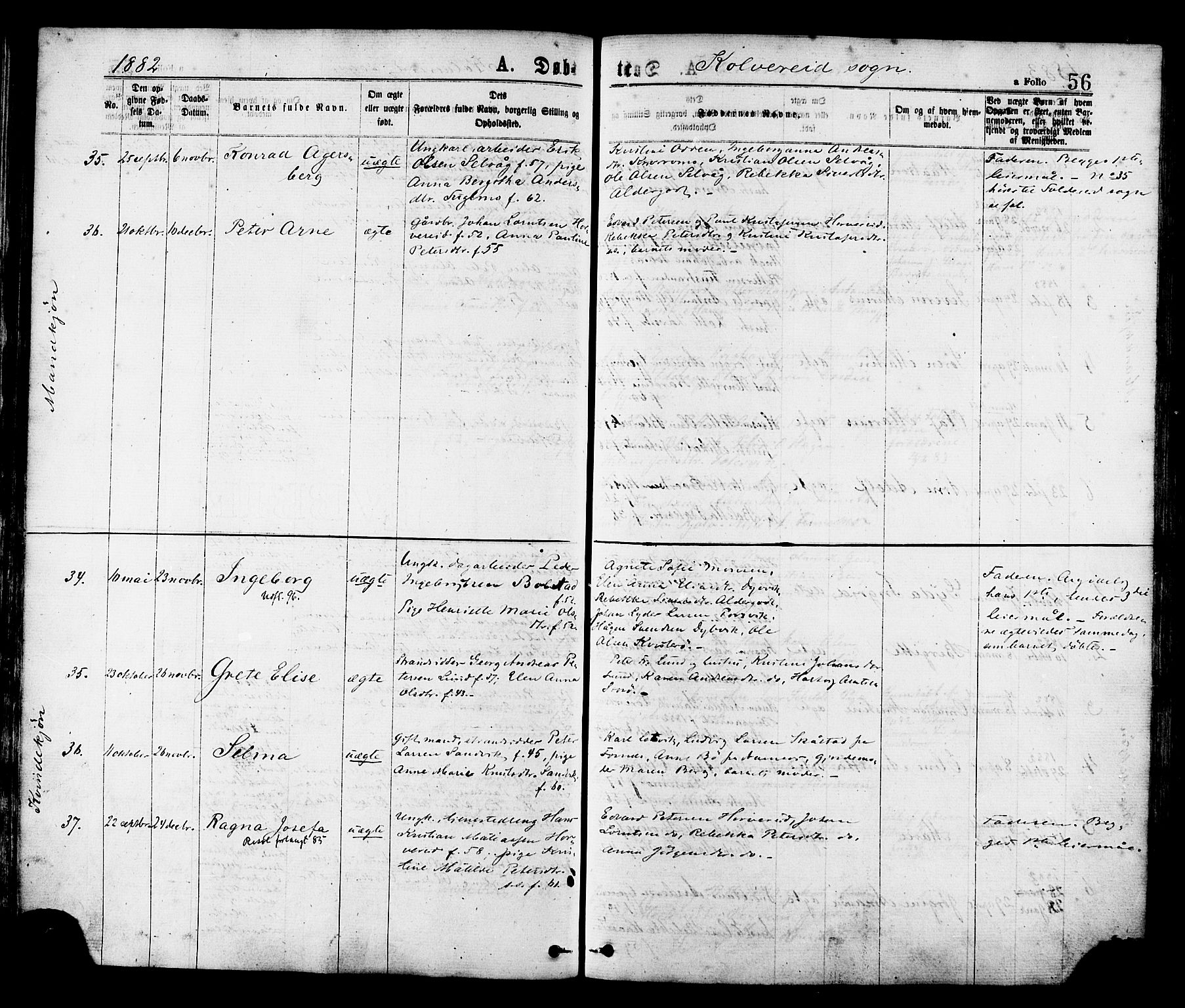 Ministerialprotokoller, klokkerbøker og fødselsregistre - Nord-Trøndelag, AV/SAT-A-1458/780/L0642: Parish register (official) no. 780A07 /1, 1874-1885, p. 56