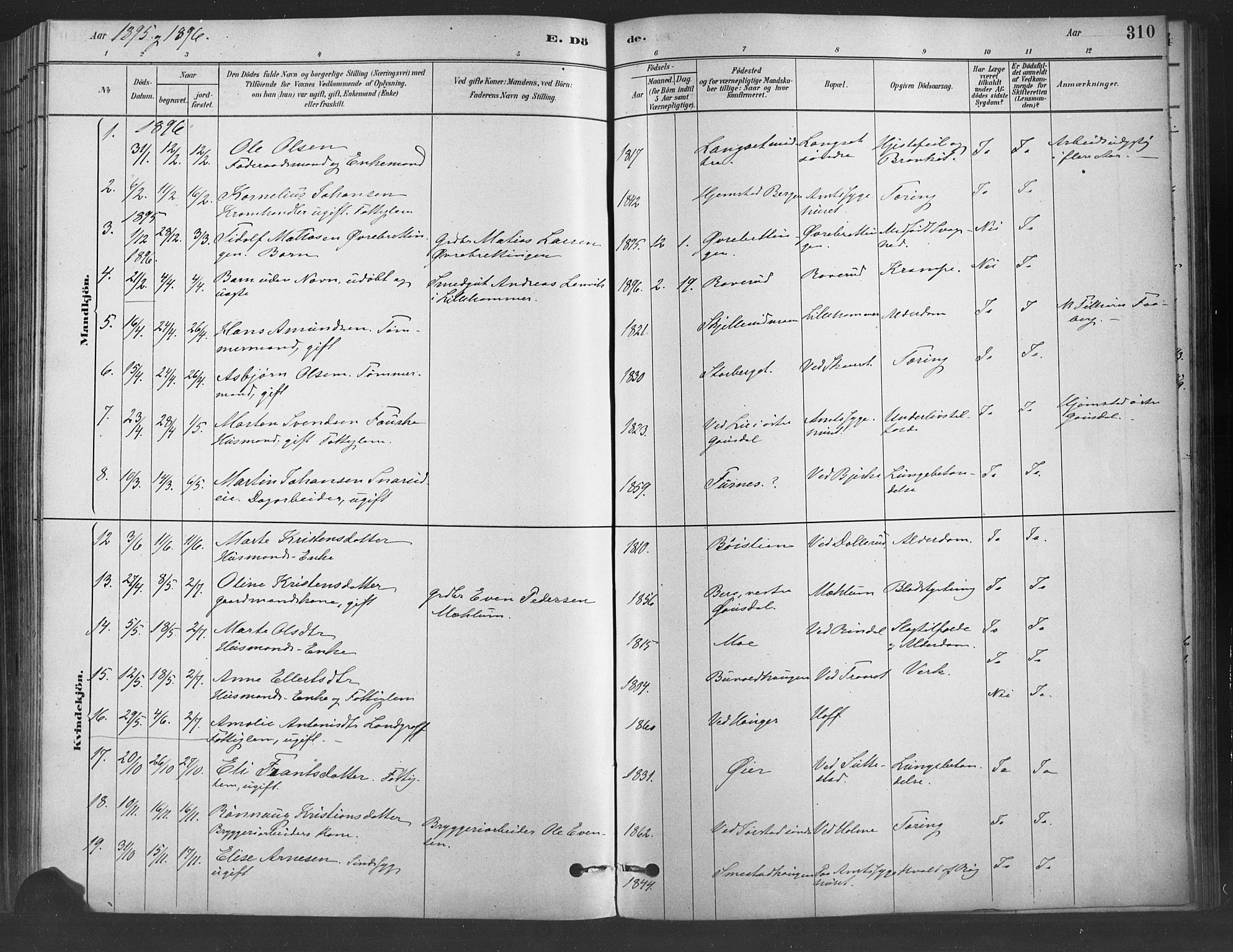 Fåberg prestekontor, SAH/PREST-086/H/Ha/Haa/L0009: Parish register (official) no. 9, 1879-1898, p. 310