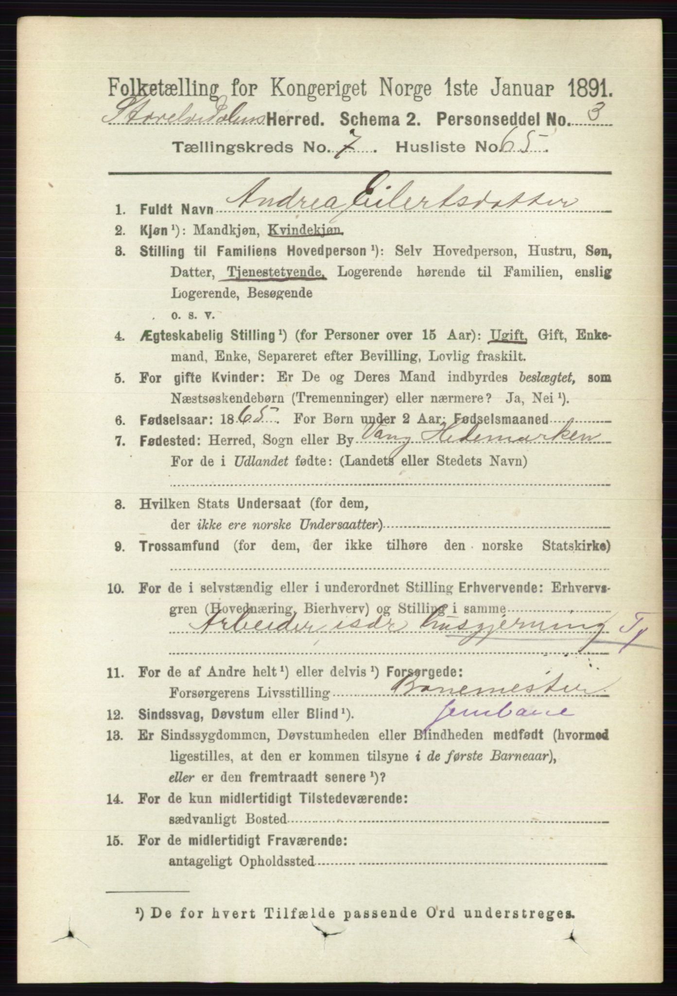 RA, 1891 census for 0430 Stor-Elvdal, 1891, p. 3181