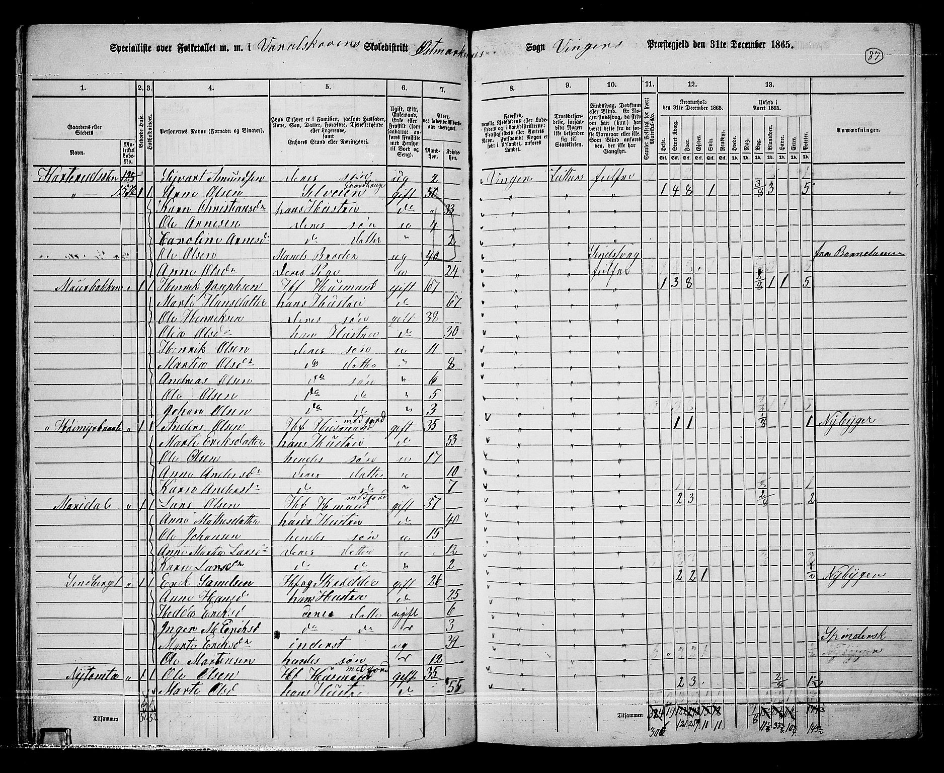 RA, 1865 census for Vinger/Vinger og Austmarka, 1865, p. 81