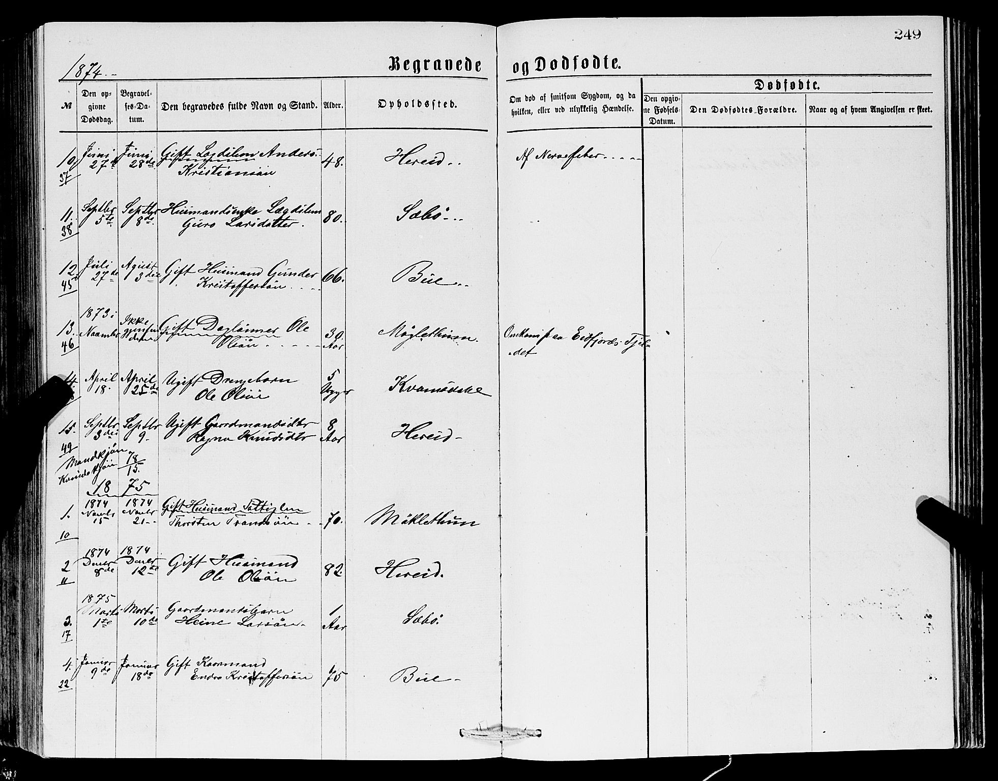 Ullensvang sokneprestembete, SAB/A-78701/H/Hab: Parish register (copy) no. C 2, 1871-1899, p. 249