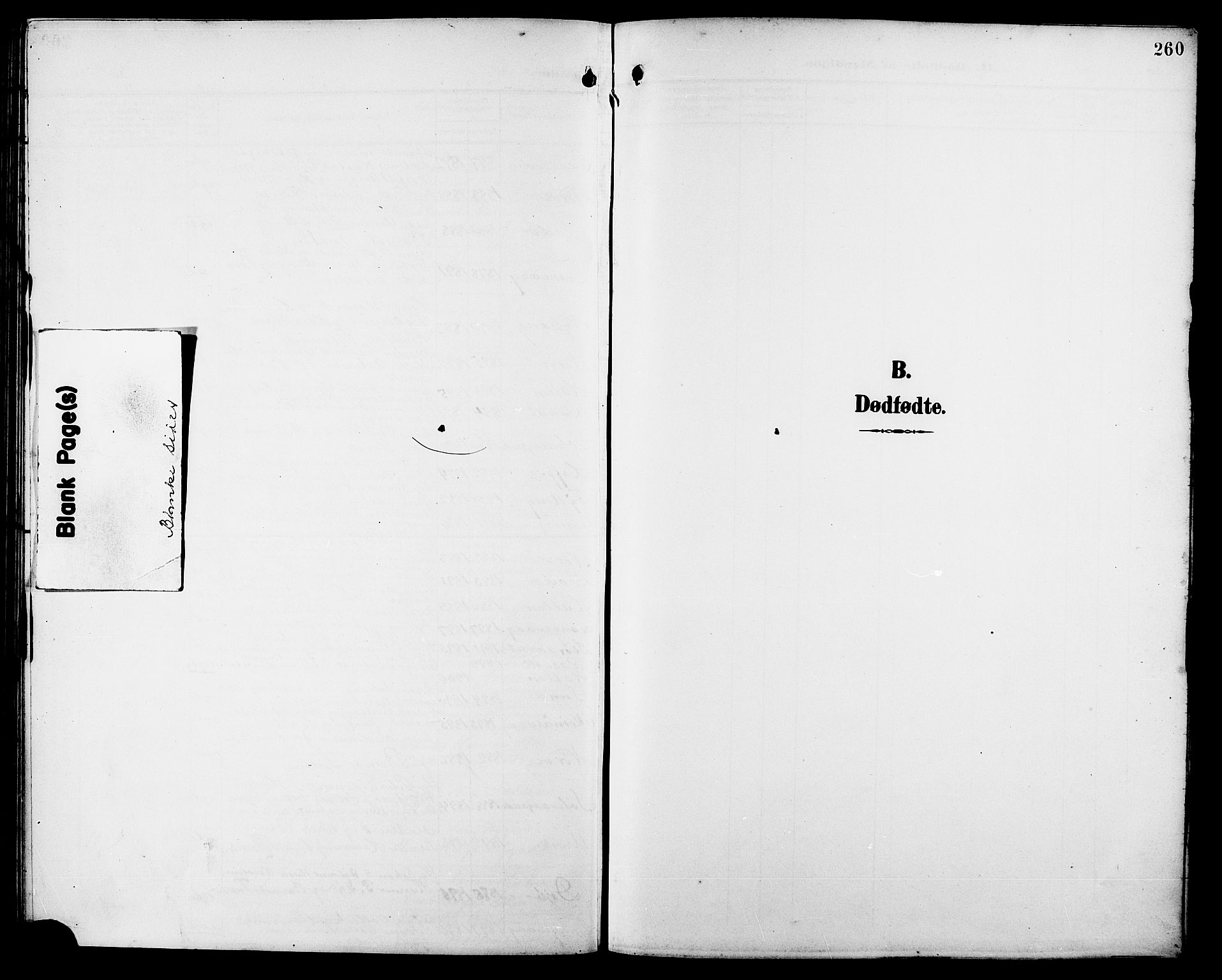 Ministerialprotokoller, klokkerbøker og fødselsregistre - Møre og Romsdal, SAT/A-1454/528/L0432: Parish register (copy) no. 528C13, 1898-1918, p. 260