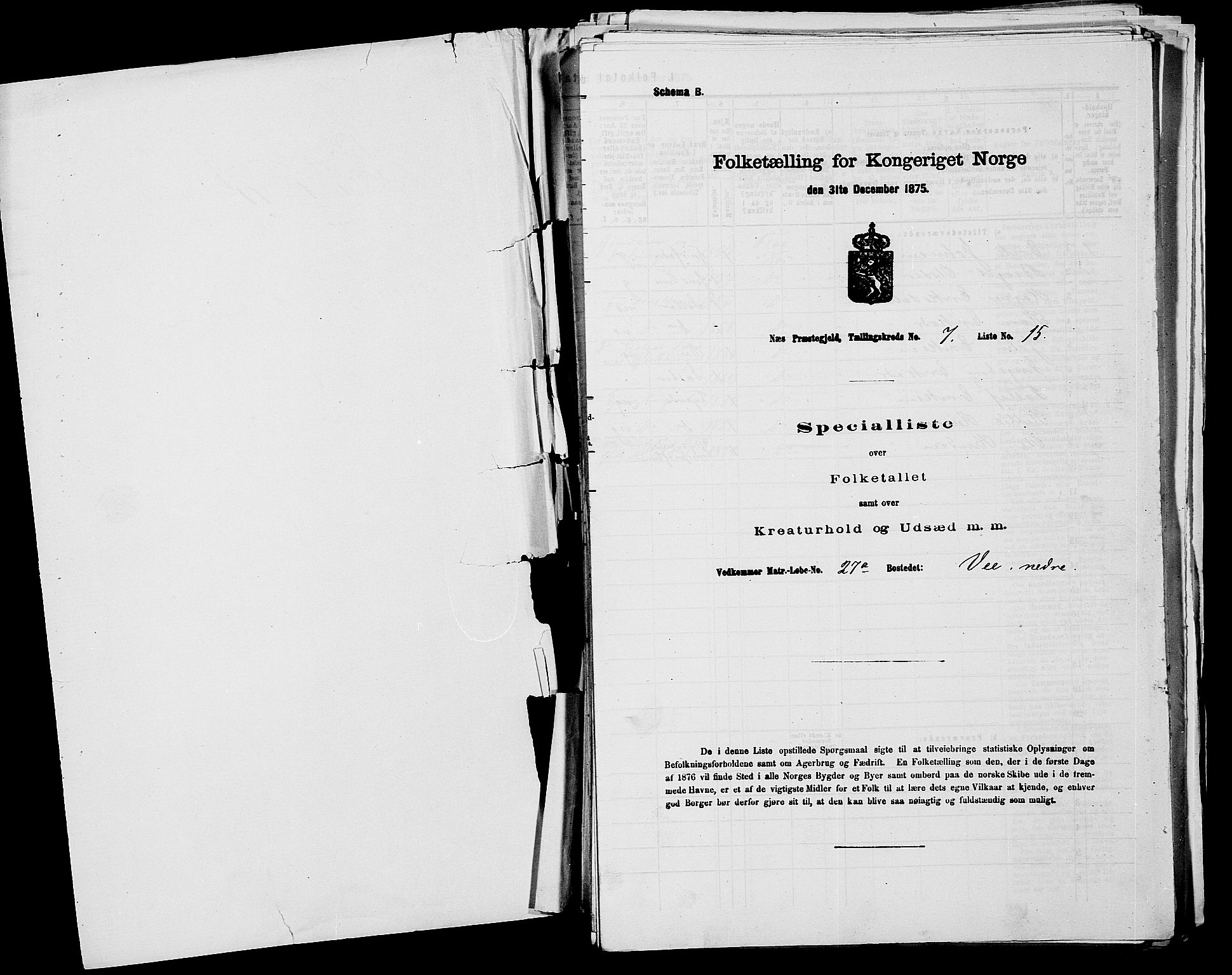 SAKO, 1875 census for 0616P Nes, 1875, p. 1171