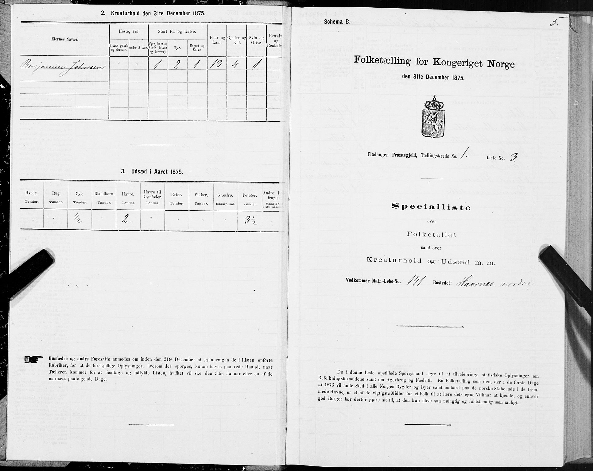 SAT, 1875 census for 1749P Flatanger, 1875, p. 1005