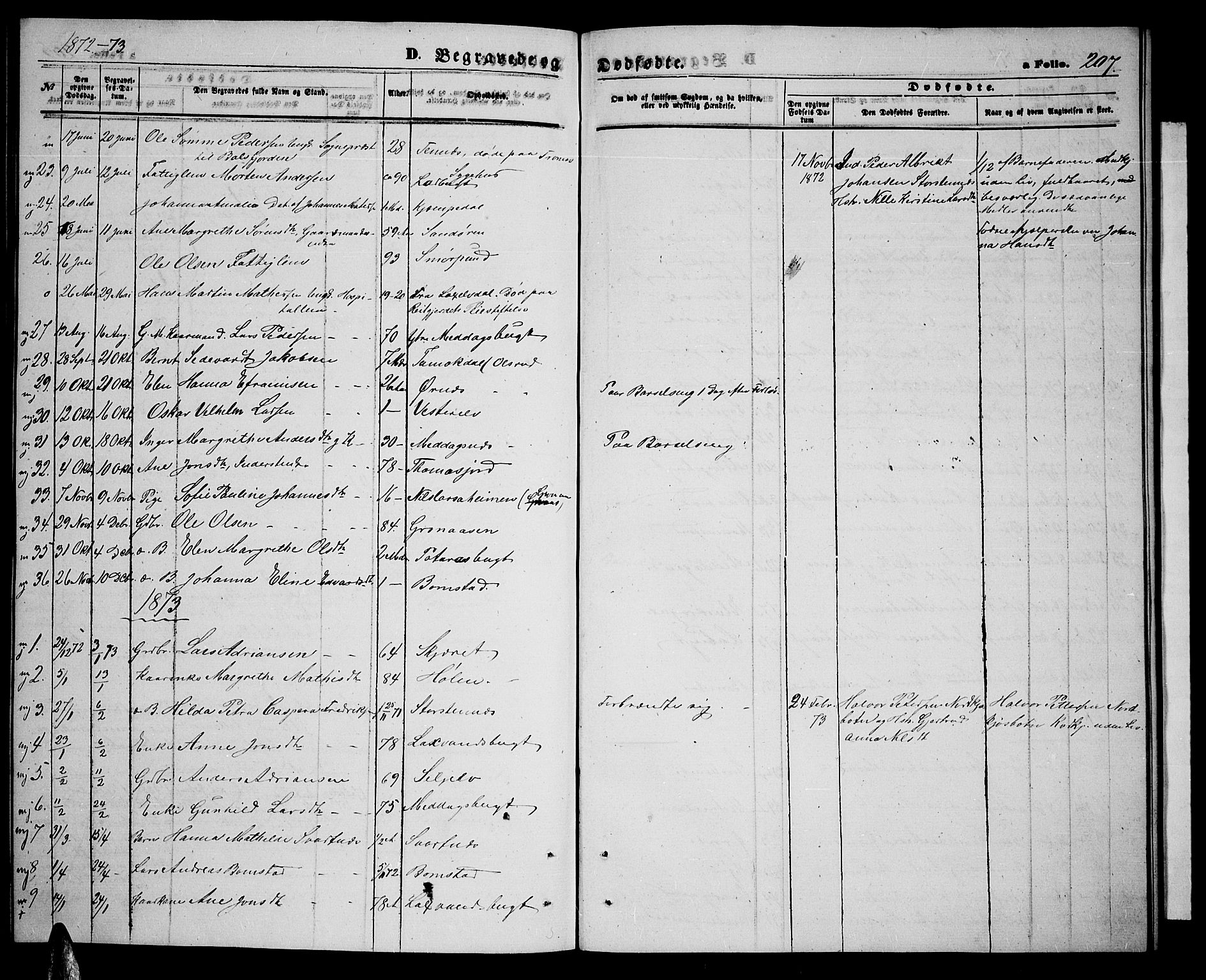 Balsfjord sokneprestembete, SATØ/S-1303/G/Ga/L0006klokker: Parish register (copy) no. 6, 1863-1878, p. 207