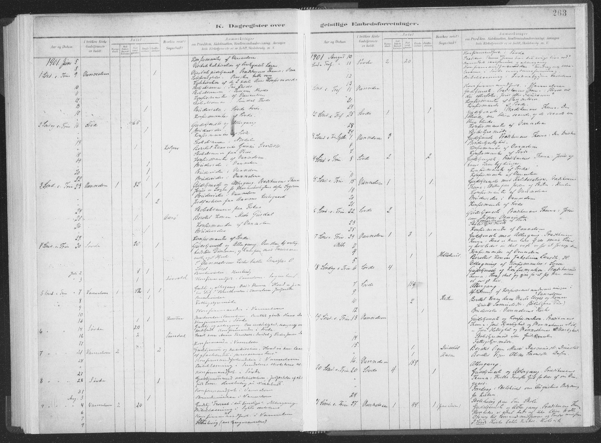 Ministerialprotokoller, klokkerbøker og fødselsregistre - Møre og Romsdal, AV/SAT-A-1454/502/L0025: Parish register (official) no. 502A03, 1885-1909, p. 263