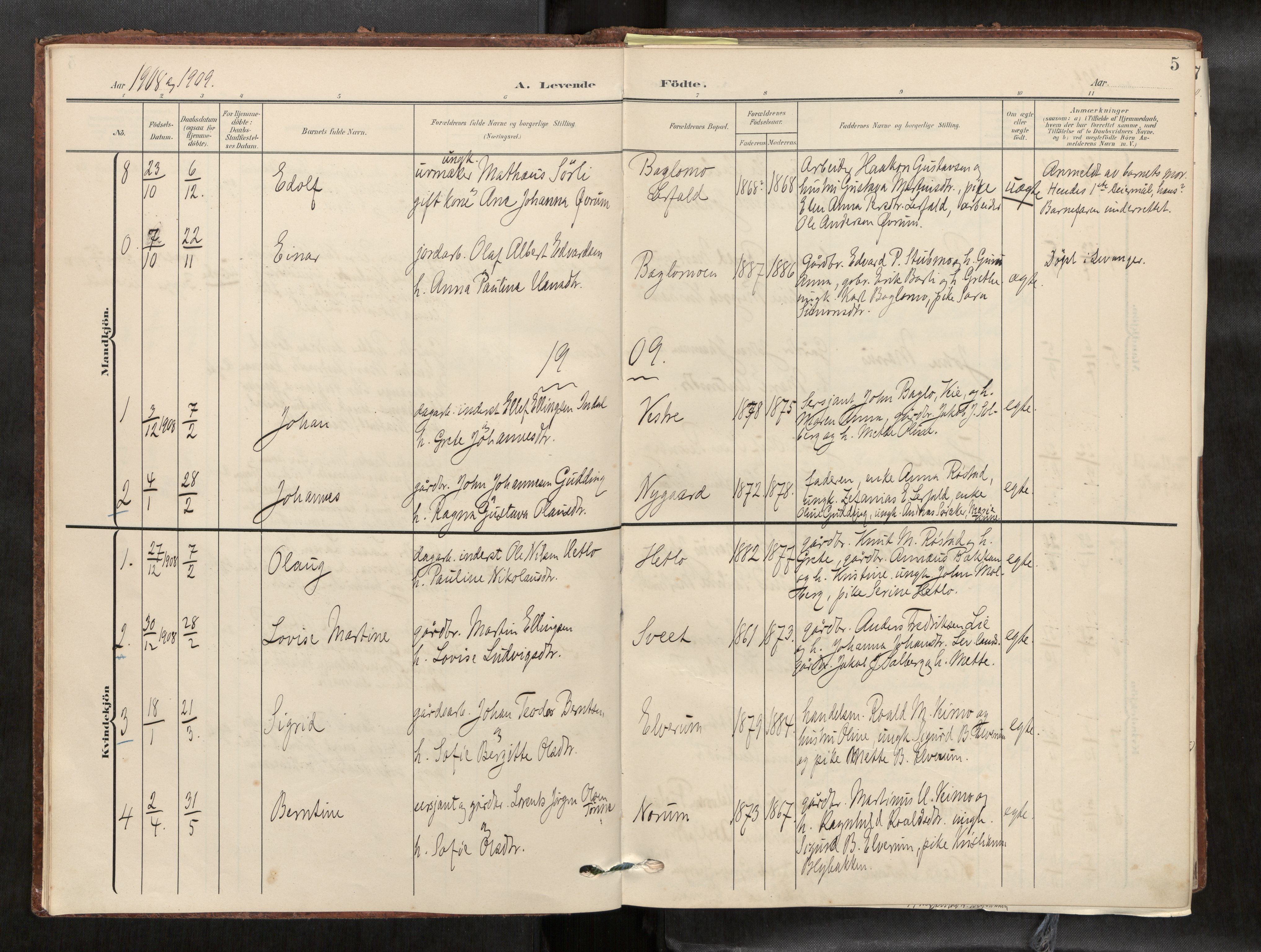 Verdal sokneprestkontor, SAT/A-1156/2/H/Haa/L0003: Parish register (official) no. 3, 1907-1921, p. 5