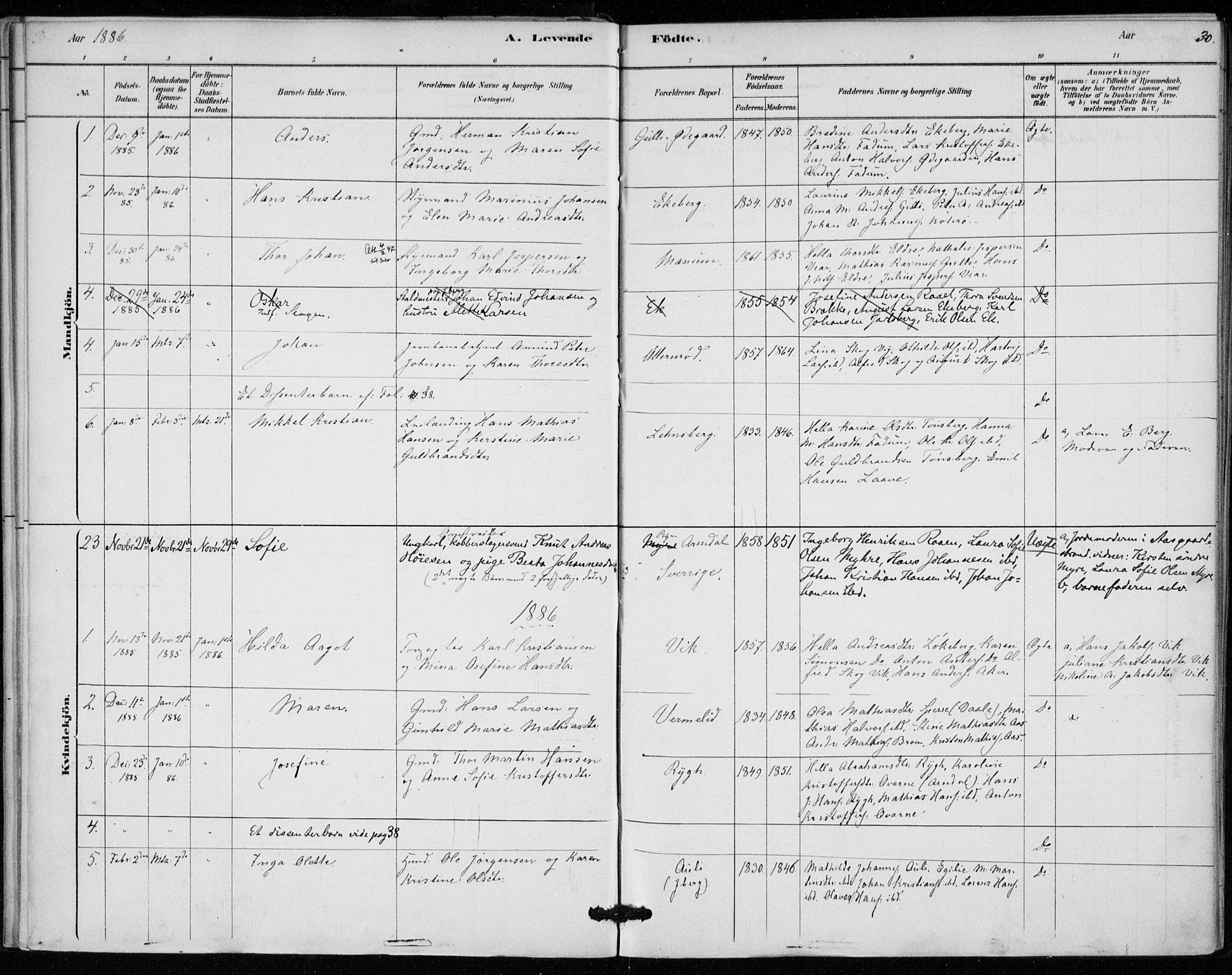 Sem kirkebøker, SAKO/A-5/F/Fa/L0010: Parish register (official) no. I 10, 1878-1887, p. 30