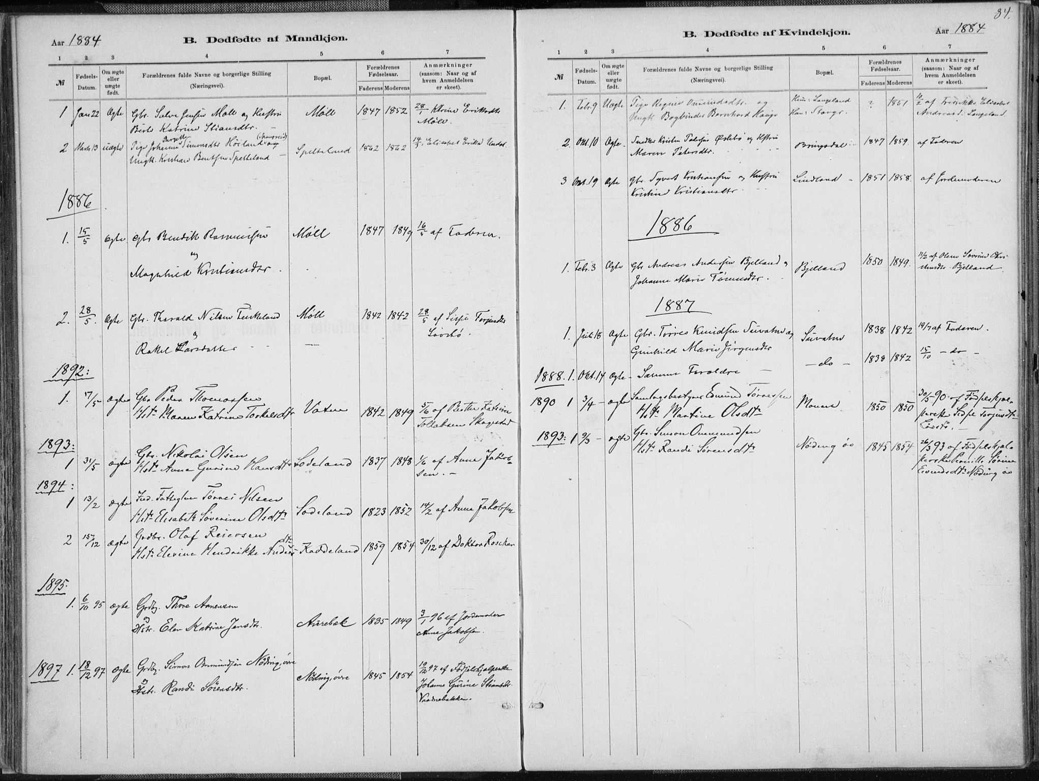 Holum sokneprestkontor, SAK/1111-0022/F/Fa/Faa/L0007: Parish register (official) no. A 7, 1884-1907, p. 84