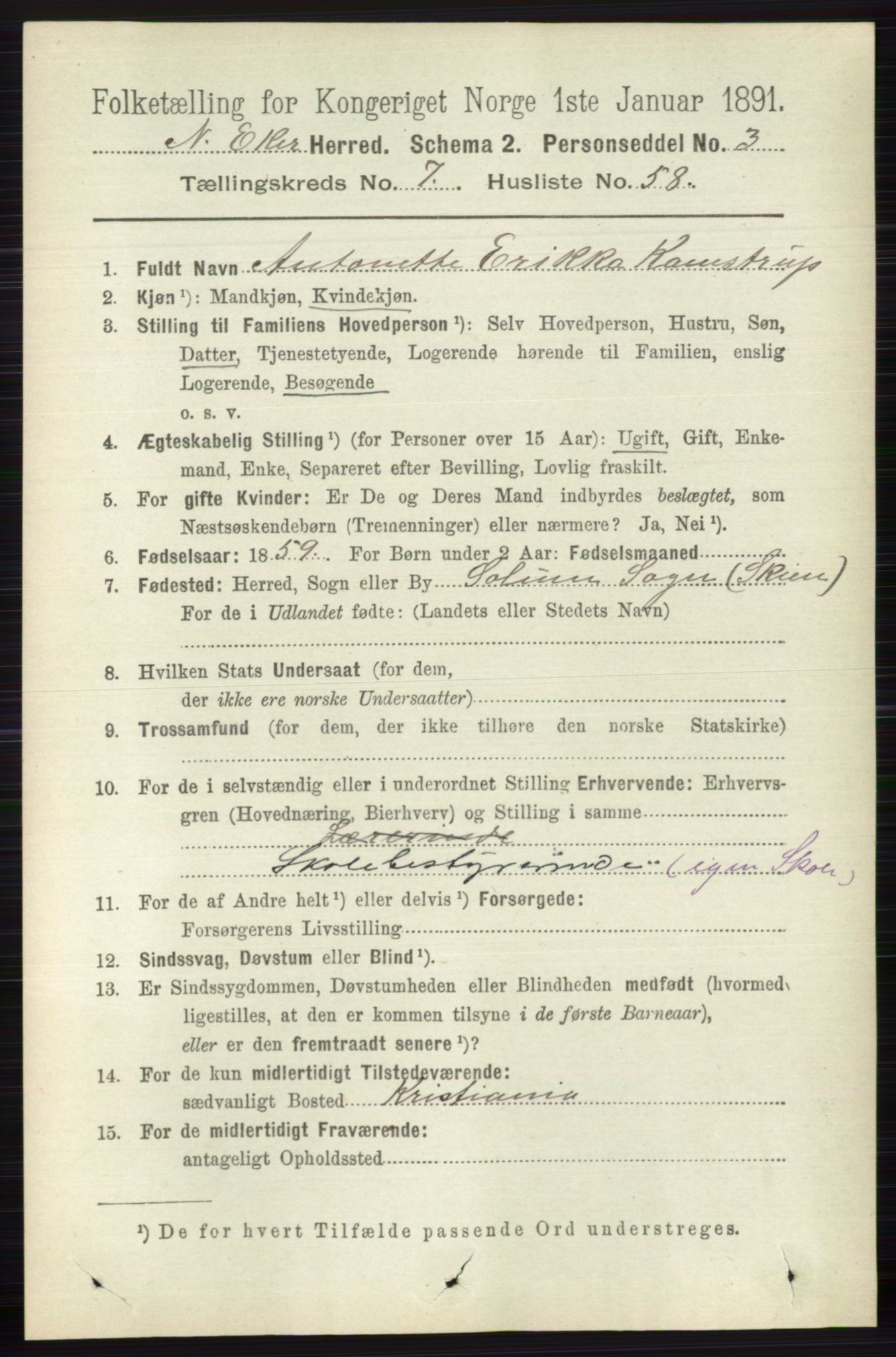 RA, 1891 census for 0625 Nedre Eiker, 1891, p. 3818