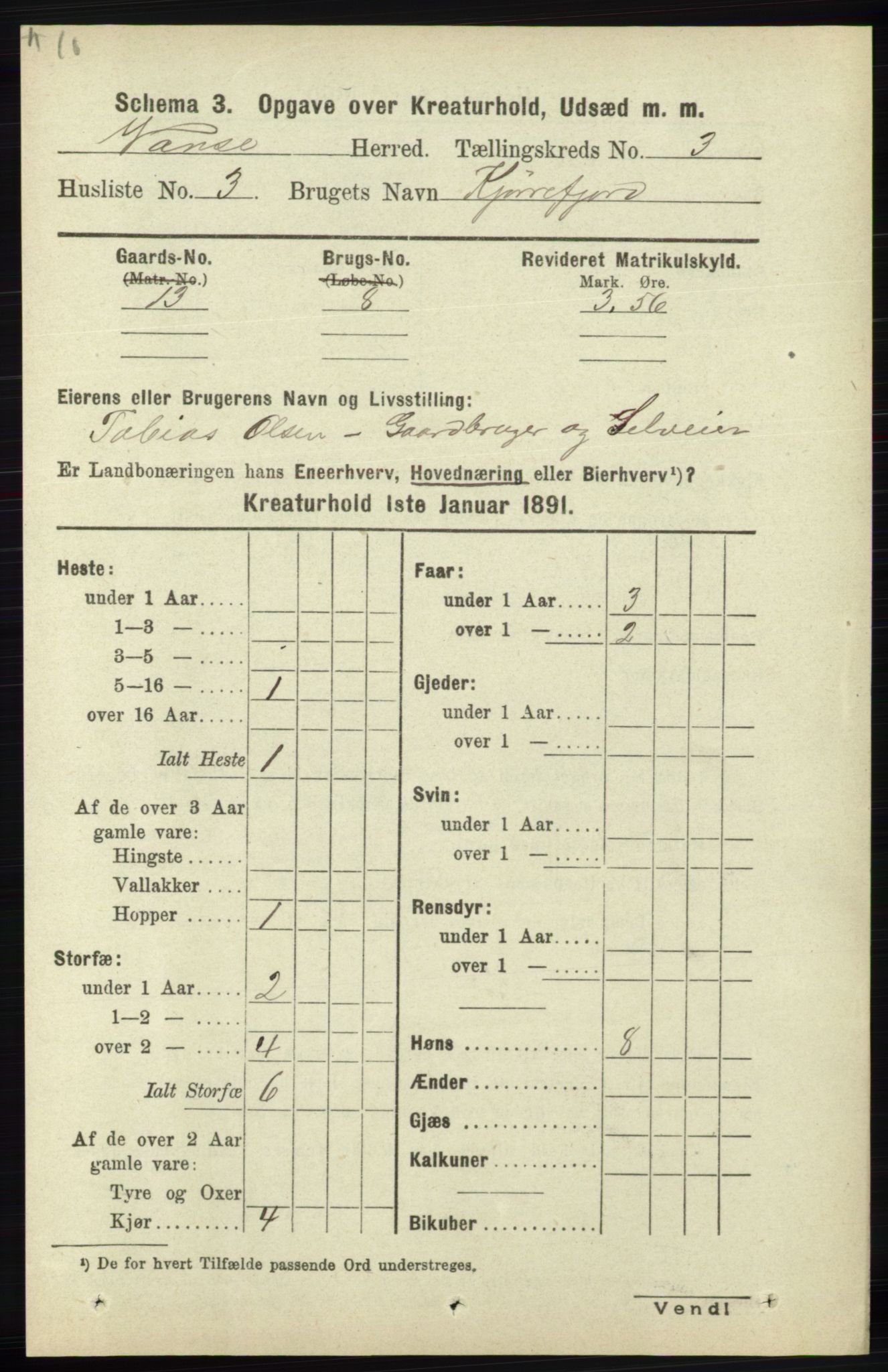 RA, 1891 census for 1041 Vanse, 1891, p. 8243