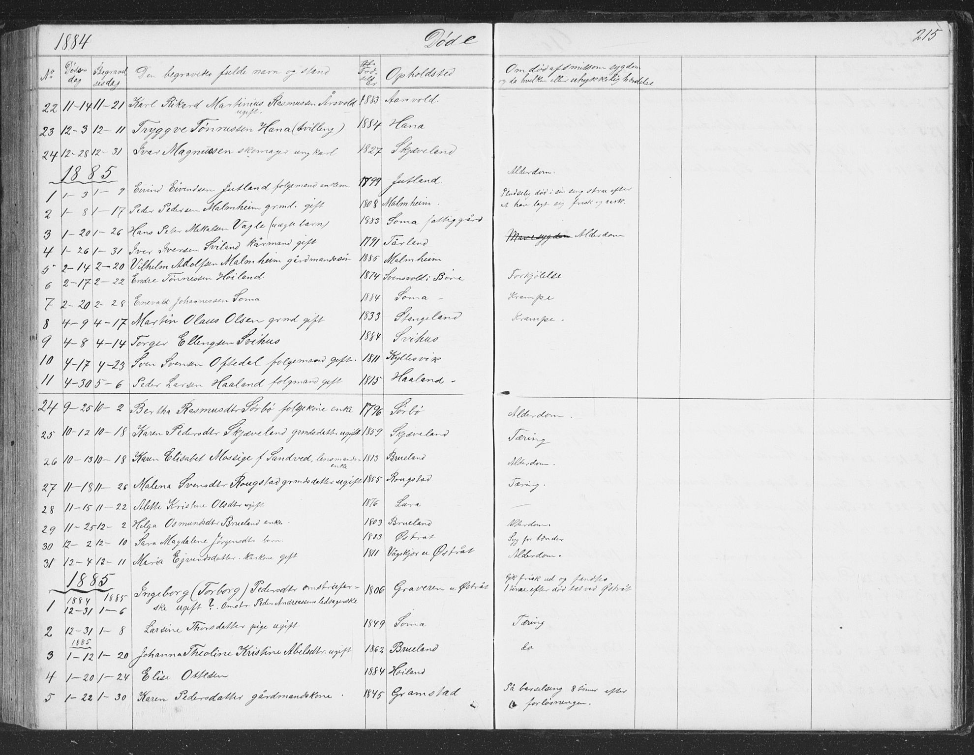 Høyland sokneprestkontor, AV/SAST-A-101799/001/30BB/L0002: Parish register (copy) no. B 2, 1874-1886, p. 215