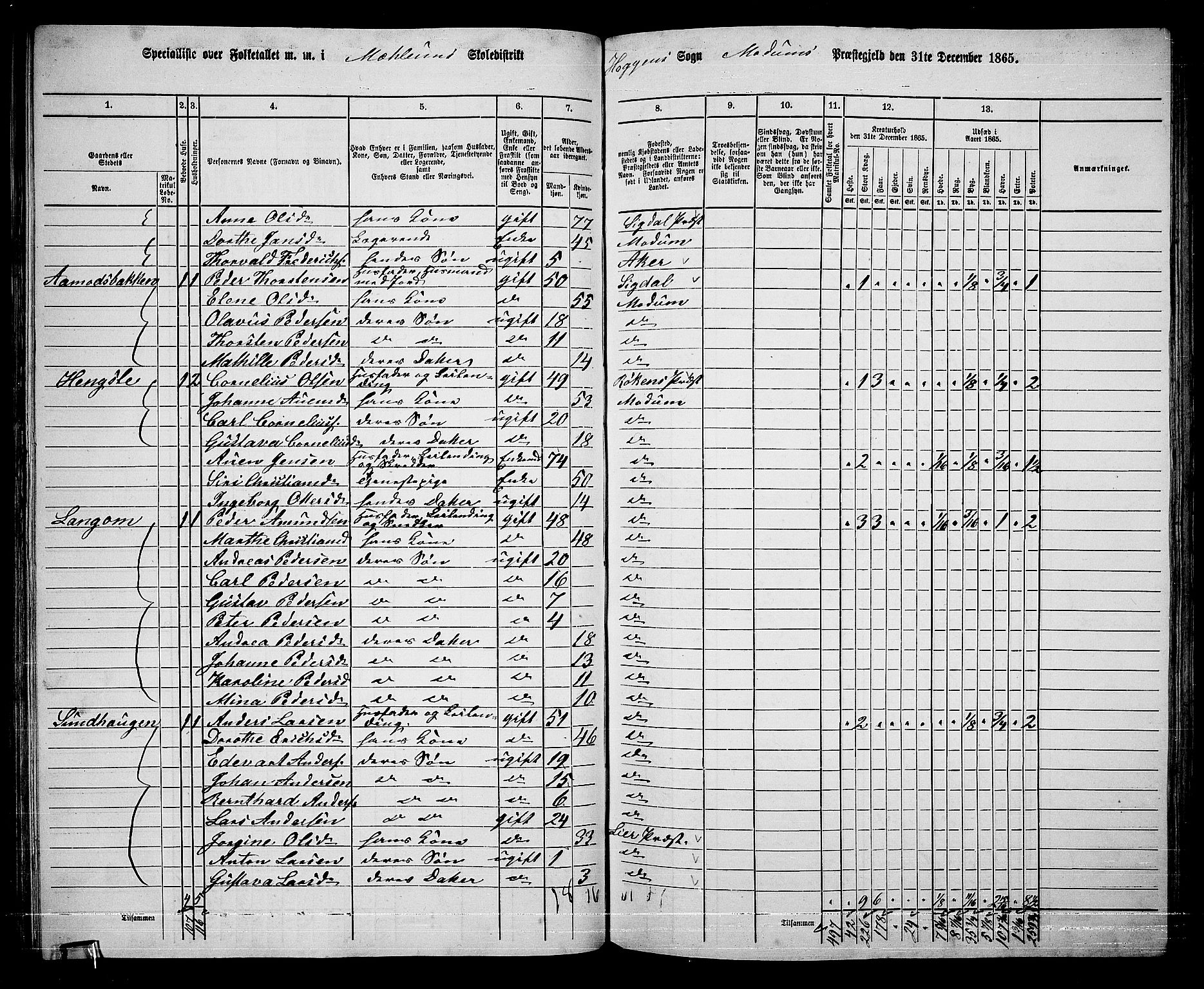 RA, 1865 census for Modum, 1865, p. 85