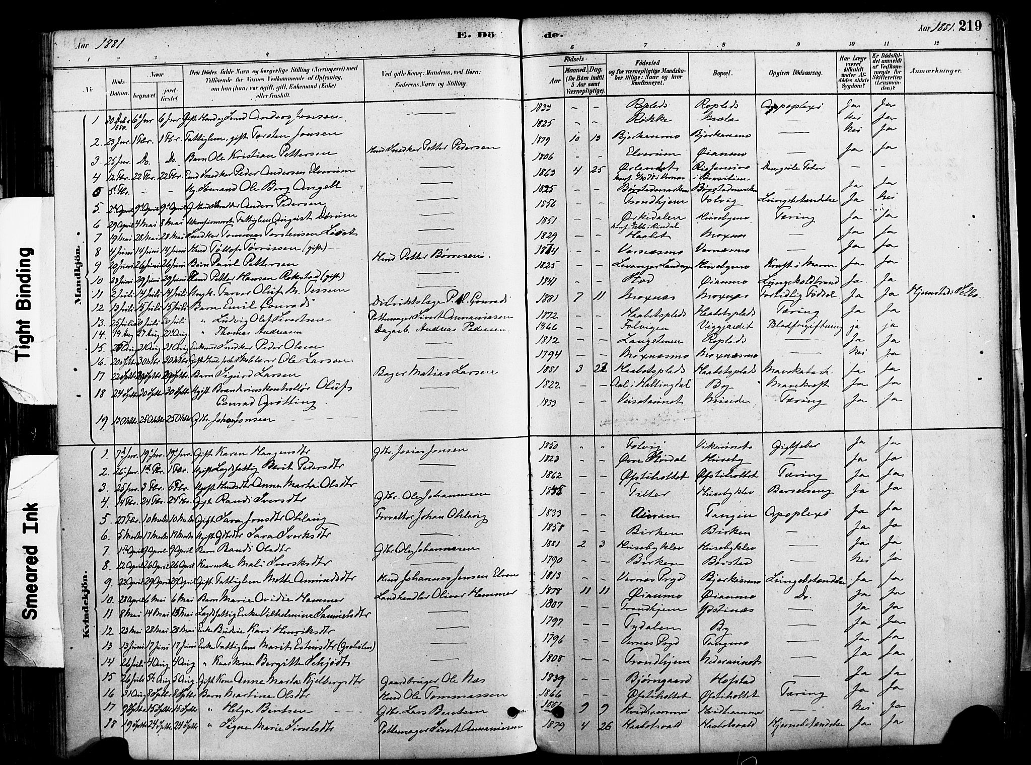Ministerialprotokoller, klokkerbøker og fødselsregistre - Nord-Trøndelag, SAT/A-1458/709/L0077: Parish register (official) no. 709A17, 1880-1895, p. 219