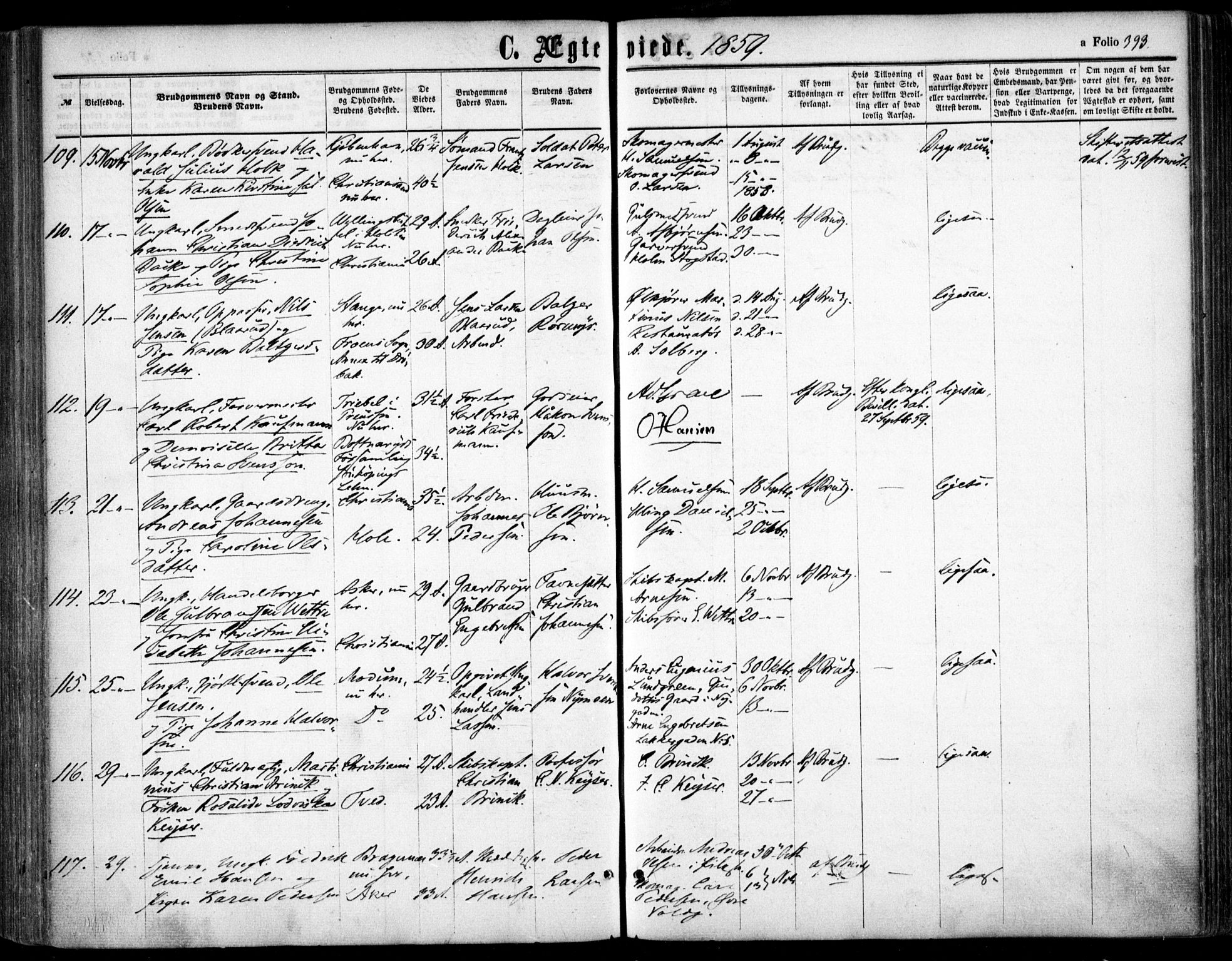 Oslo domkirke Kirkebøker, SAO/A-10752/F/Fa/L0020: Parish register (official) no. 20, 1848-1865, p. 393