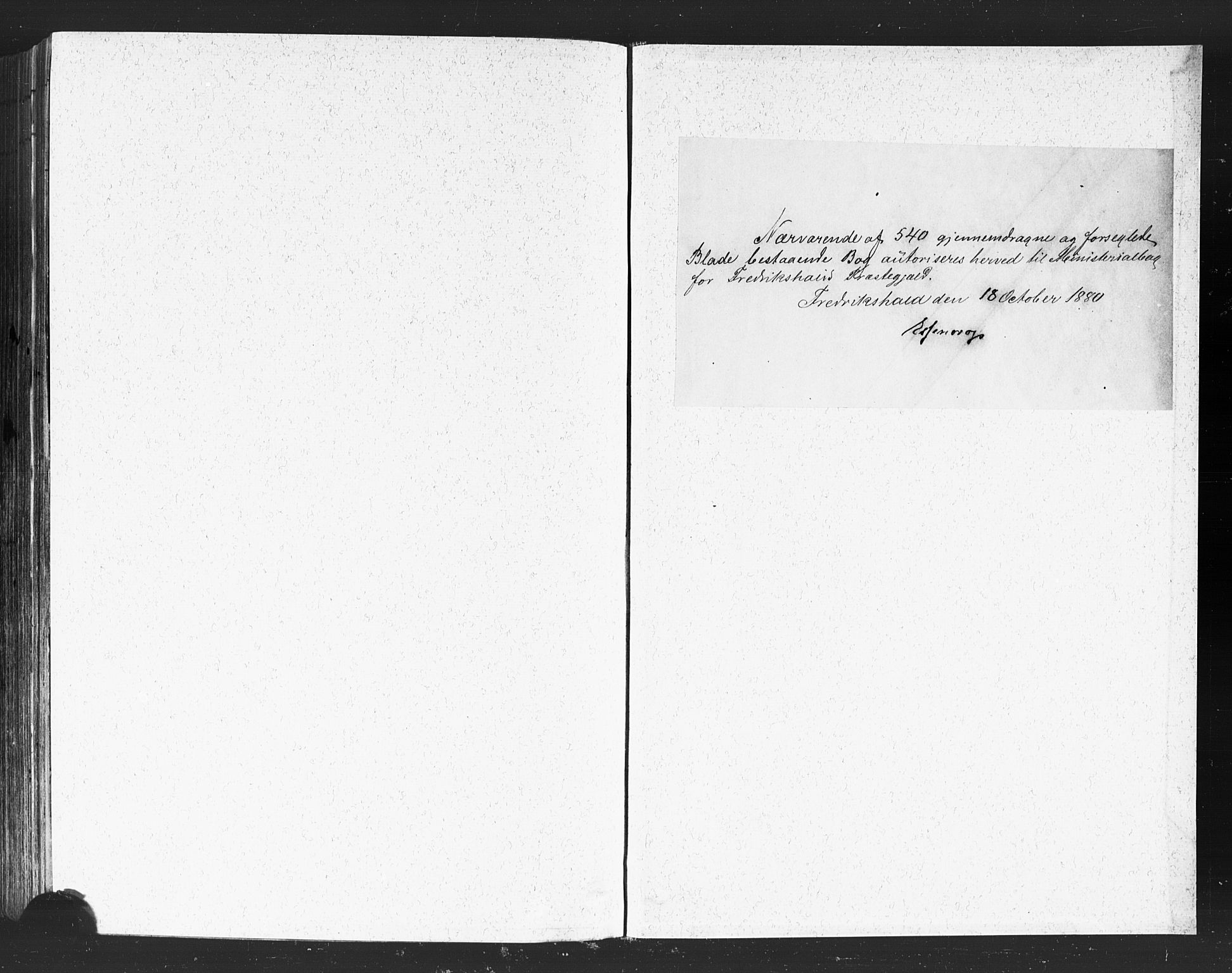 Halden prestekontor Kirkebøker, AV/SAO-A-10909/F/Fa/L0011: Parish register (official) no. I 11, 1878-1889