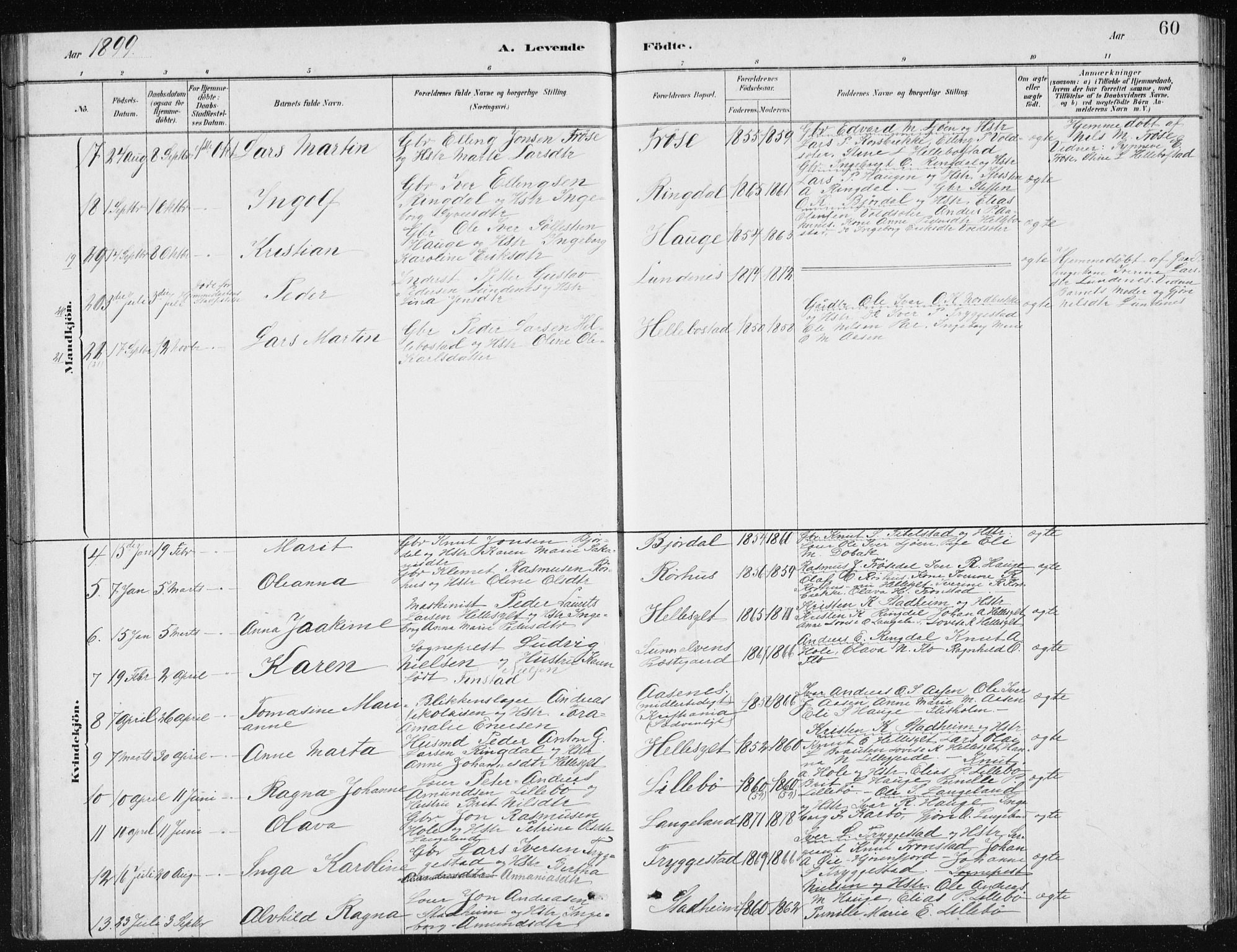 Ministerialprotokoller, klokkerbøker og fødselsregistre - Møre og Romsdal, AV/SAT-A-1454/517/L0230: Parish register (copy) no. 517C03, 1879-1912, p. 60