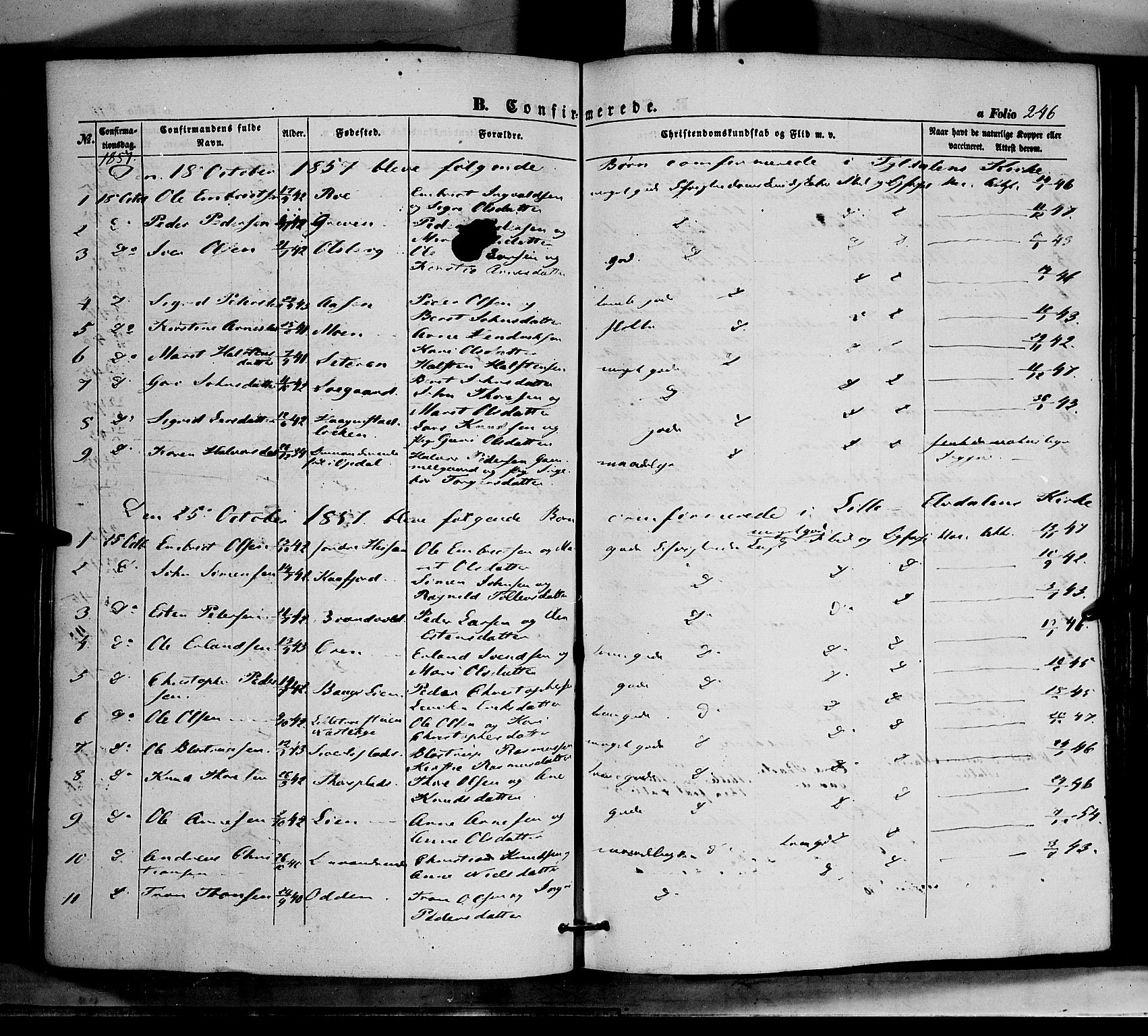 Tynset prestekontor, AV/SAH-PREST-058/H/Ha/Haa/L0020: Parish register (official) no. 20, 1848-1862, p. 246