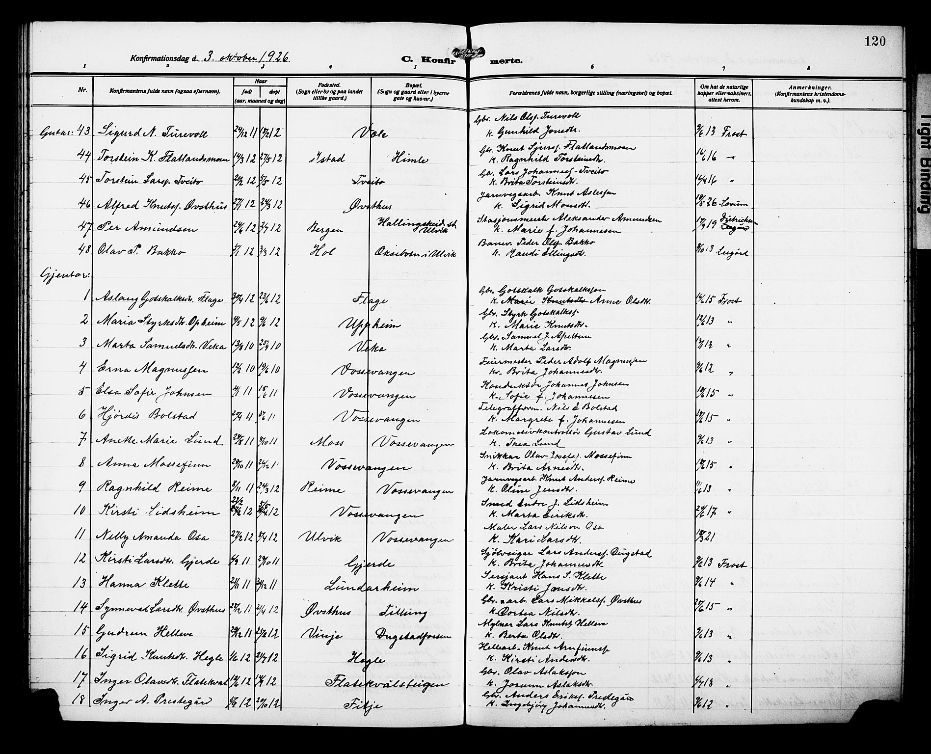 Voss sokneprestembete, AV/SAB-A-79001/H/Hab: Parish register (copy) no. D 2, 1910-1931, p. 120