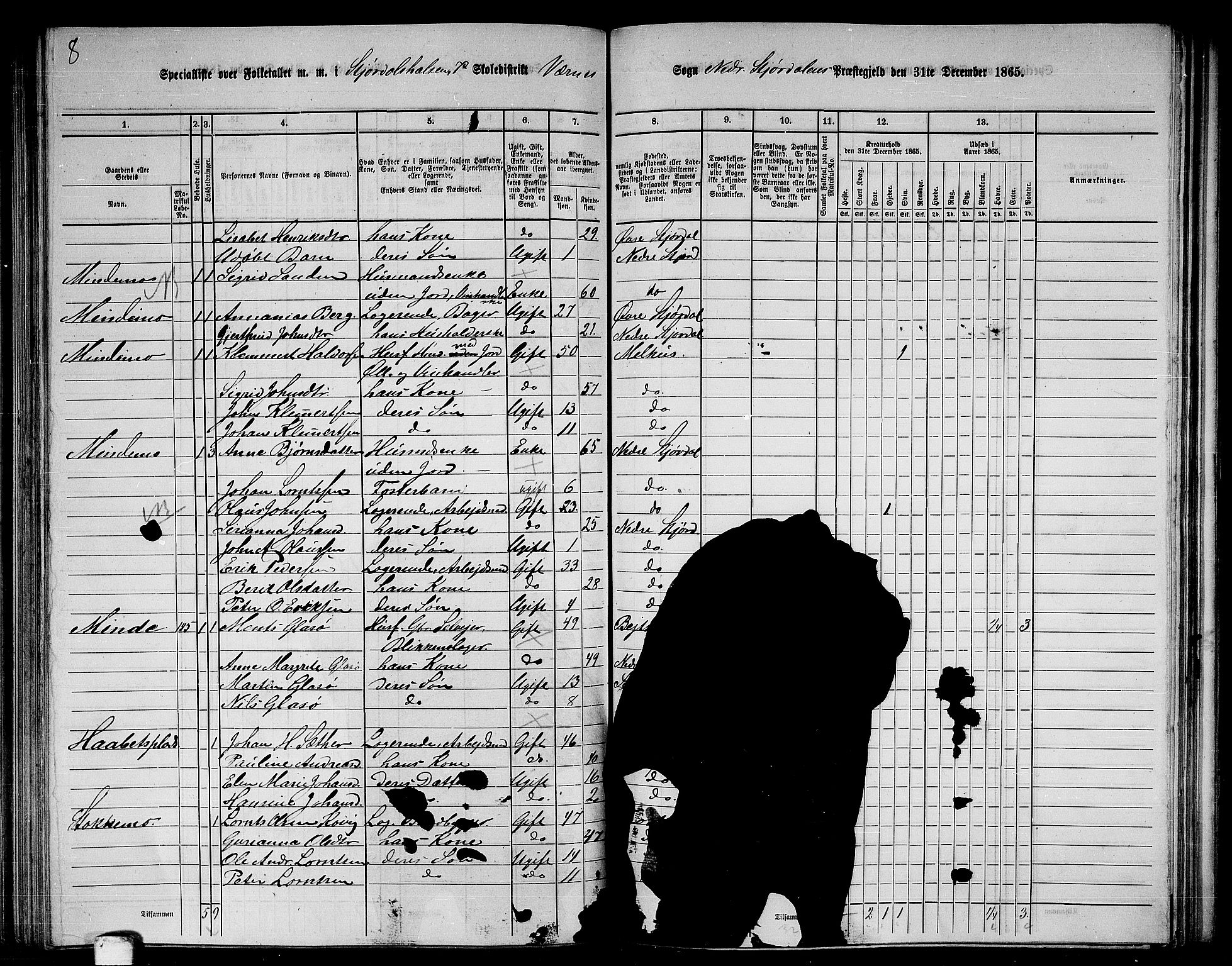 RA, 1865 census for Nedre Stjørdal, 1865, p. 172