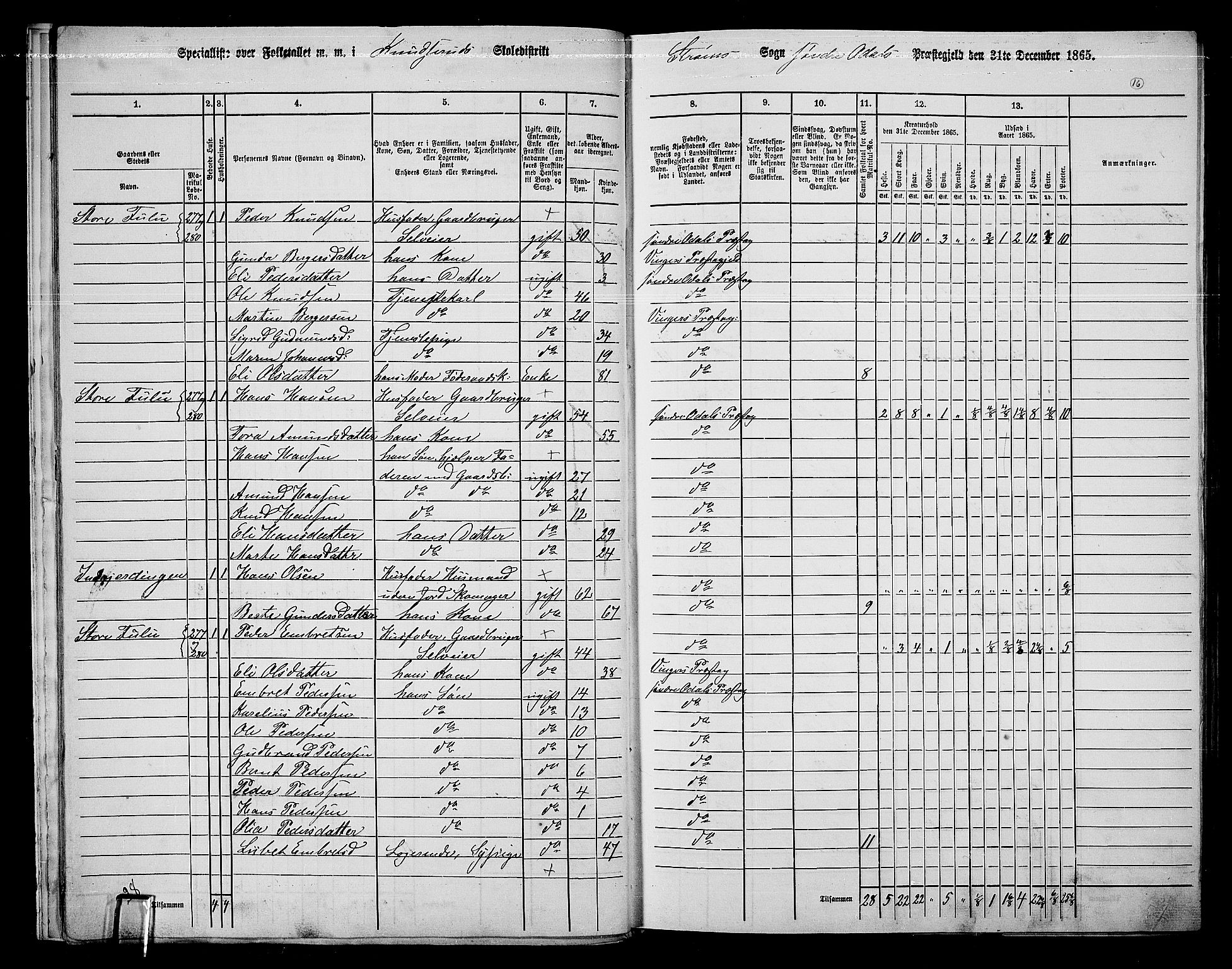 RA, 1865 census for Sør-Odal, 1865, p. 14