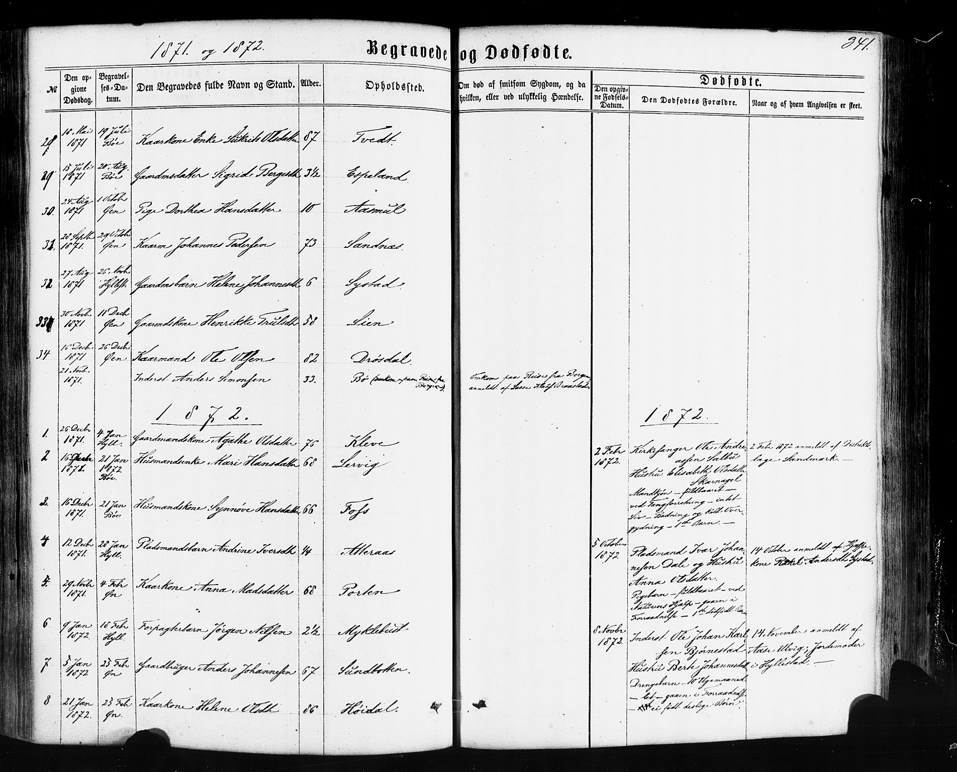 Hyllestad sokneprestembete, SAB/A-80401: Parish register (official) no. A 1, 1861-1886, p. 341