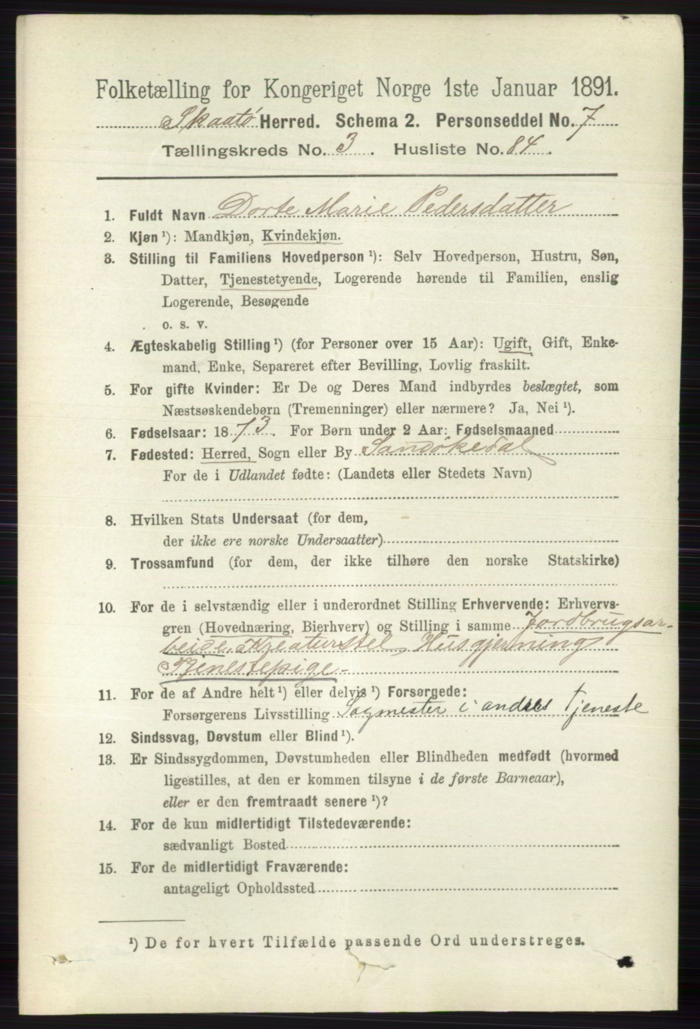 RA, 1891 census for 0815 Skåtøy, 1891, p. 944