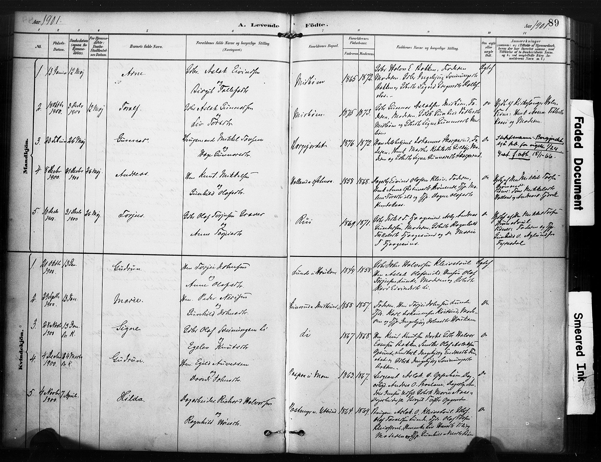 Kviteseid kirkebøker, SAKO/A-276/F/Fa/L0008: Parish register (official) no. I 8, 1882-1903, p. 89