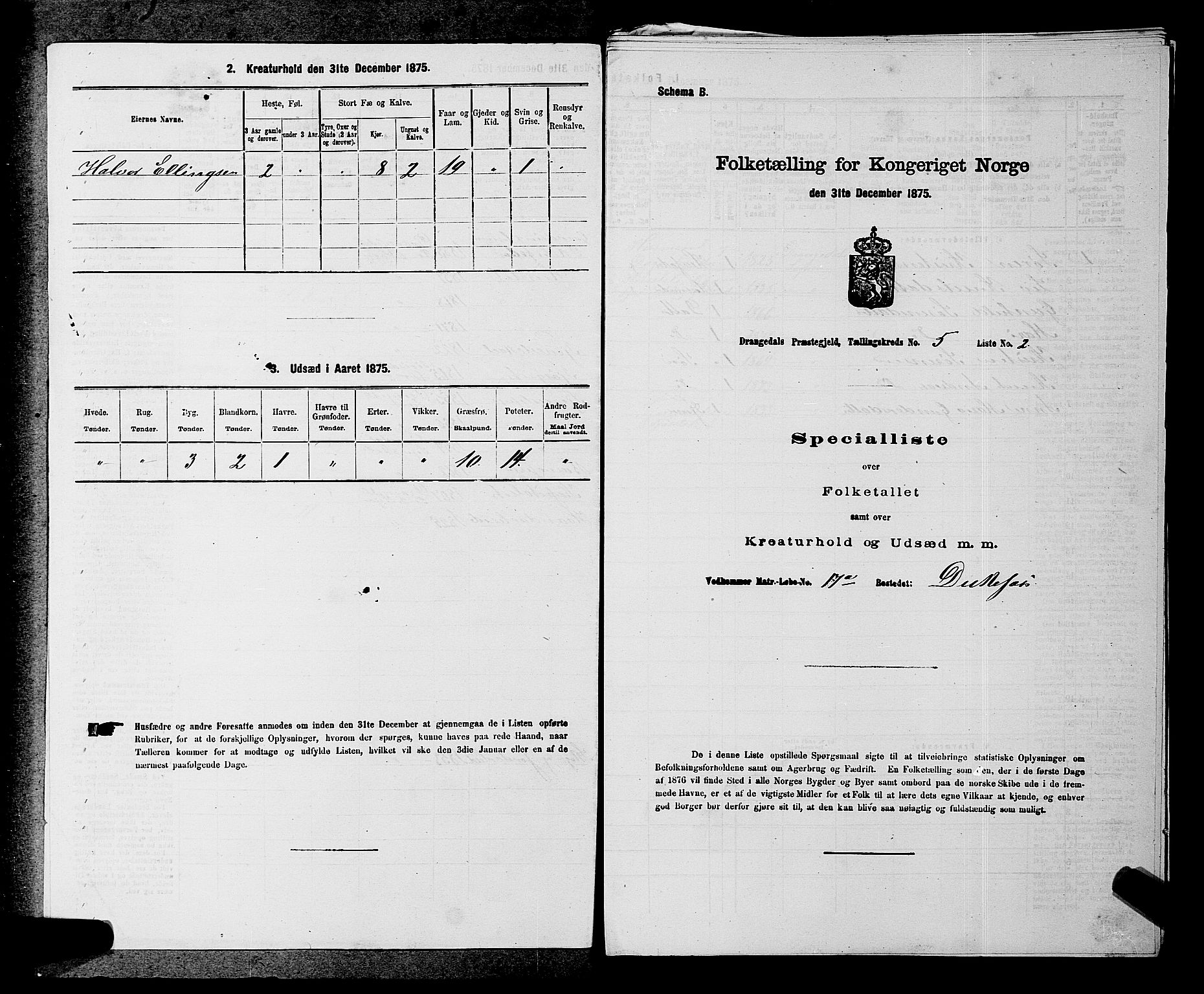SAKO, 1875 census for 0817P Drangedal, 1875, p. 487