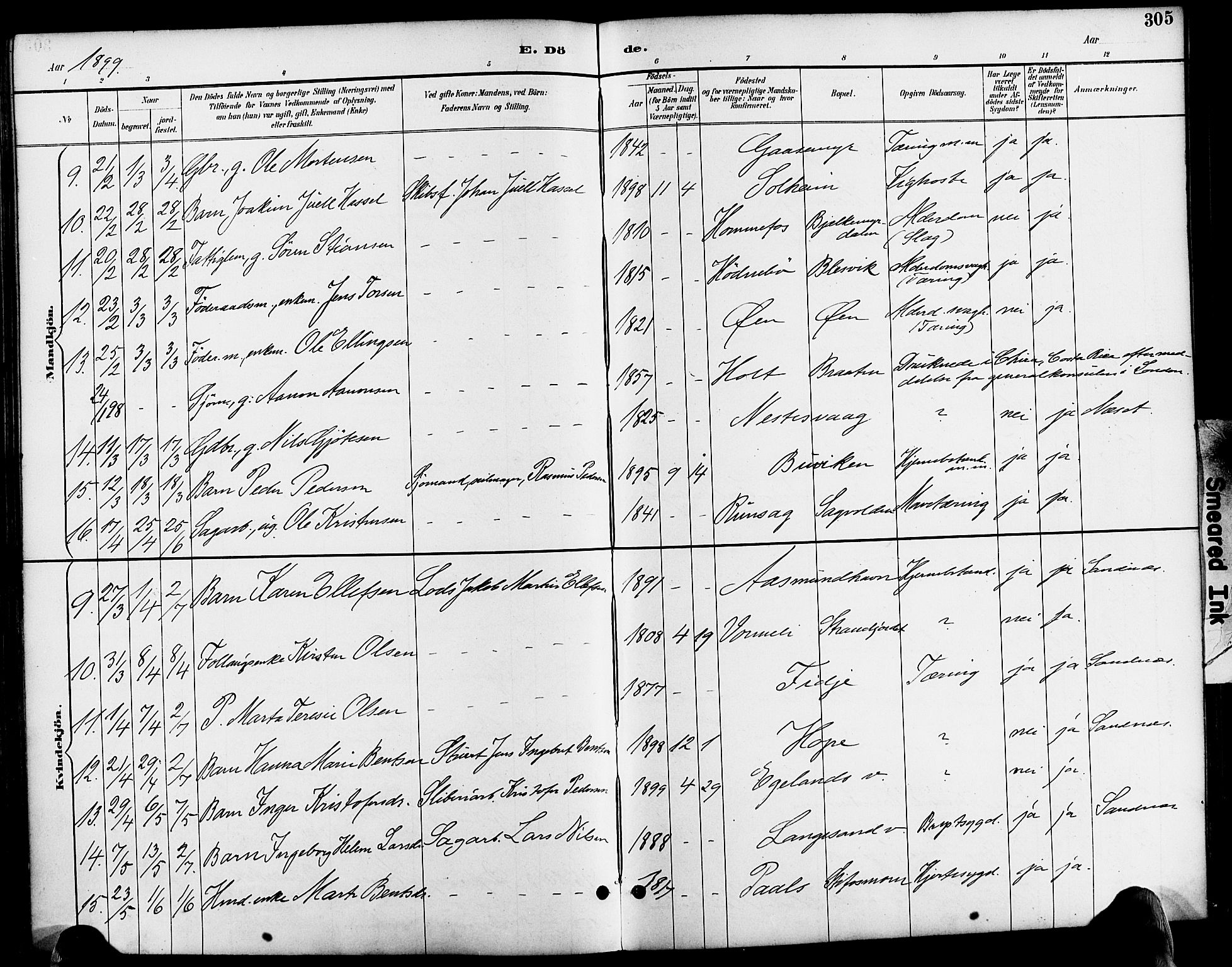 Søndeled sokneprestkontor, AV/SAK-1111-0038/F/Fa/L0005: Parish register (official) no. A 5, 1889-1899, p. 305