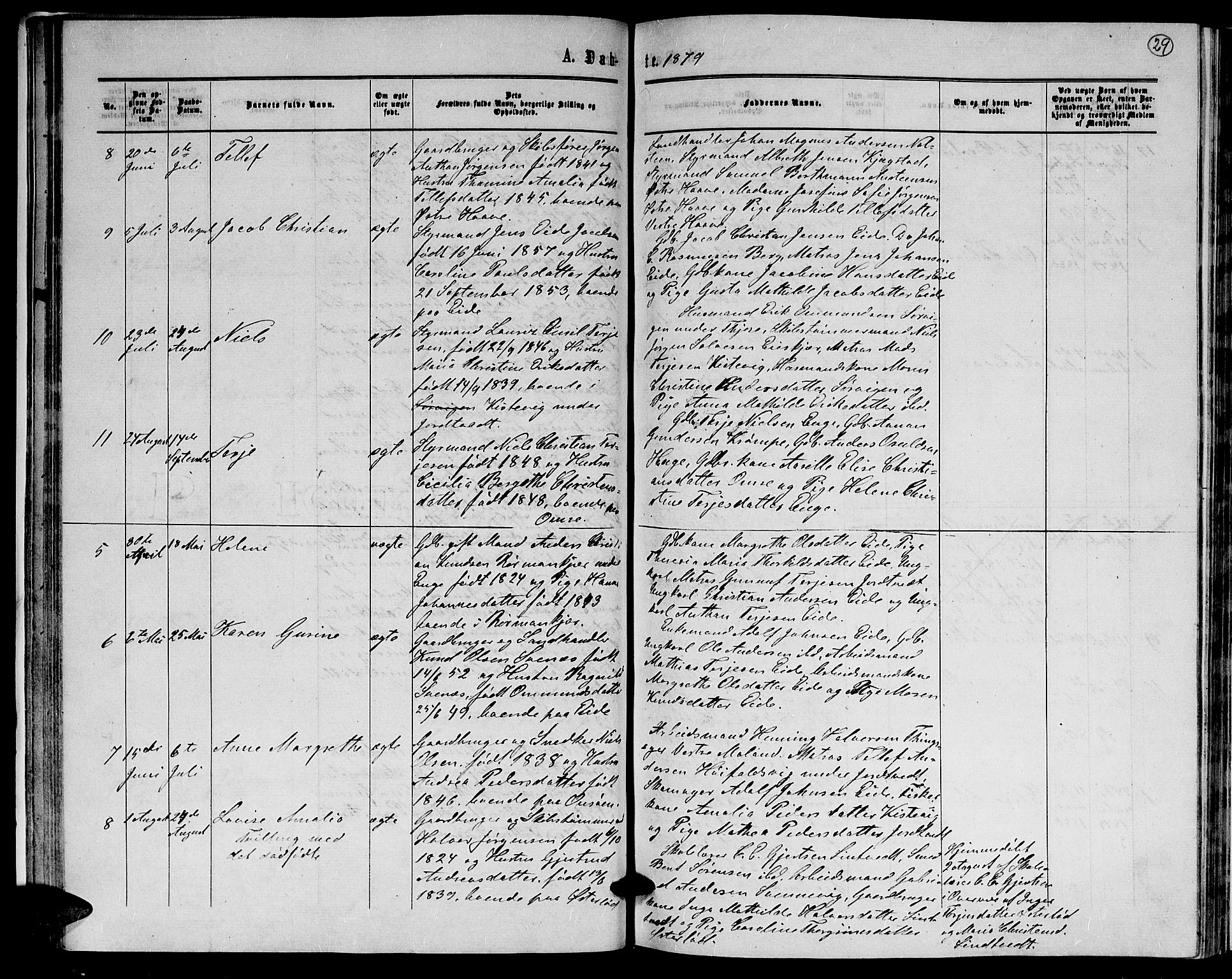 Hommedal sokneprestkontor, AV/SAK-1111-0023/F/Fb/Fba/L0003: Parish register (copy) no. B 3, 1863-1884, p. 29