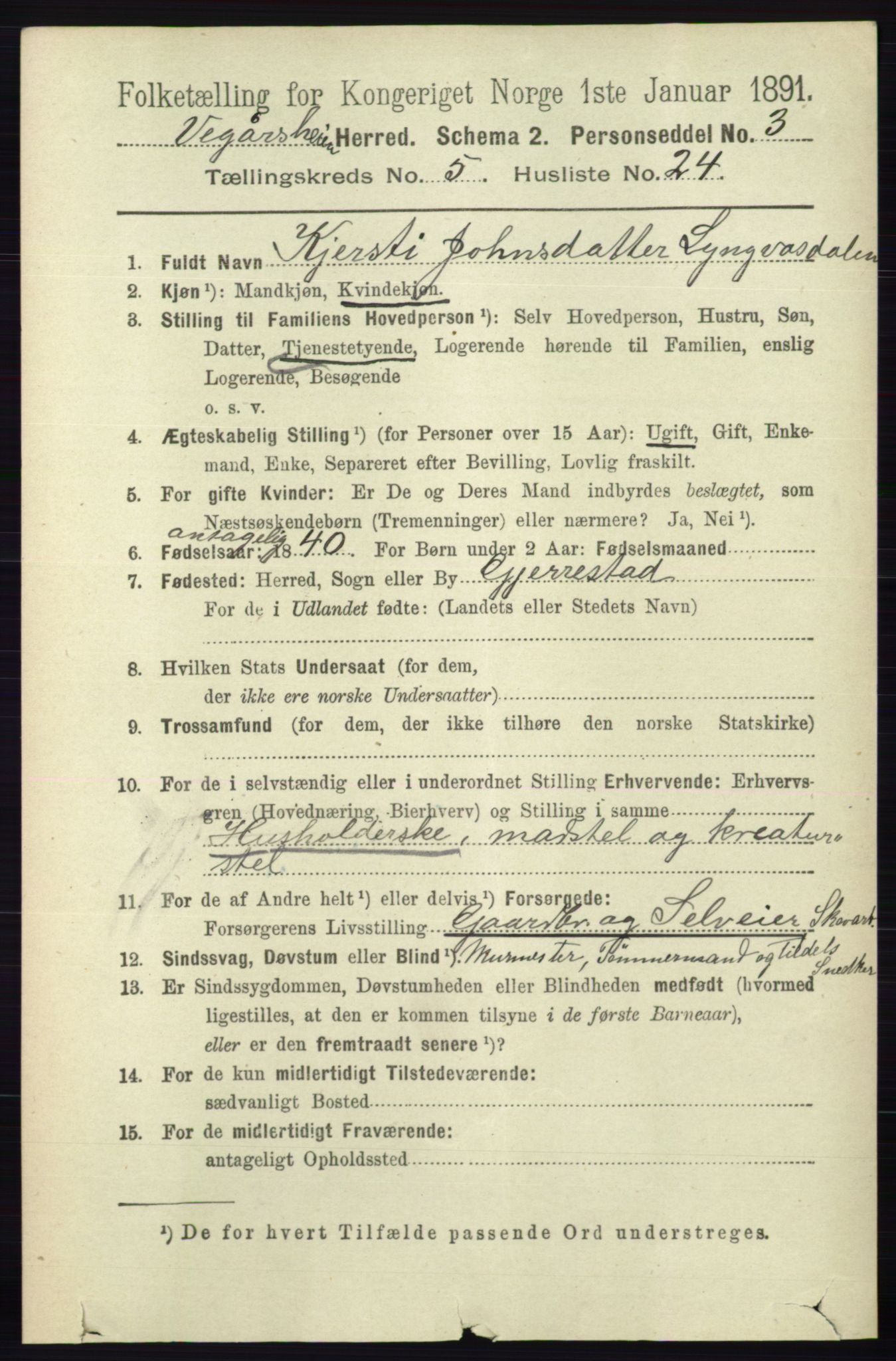 RA, 1891 census for 0912 Vegårshei, 1891, p. 1138