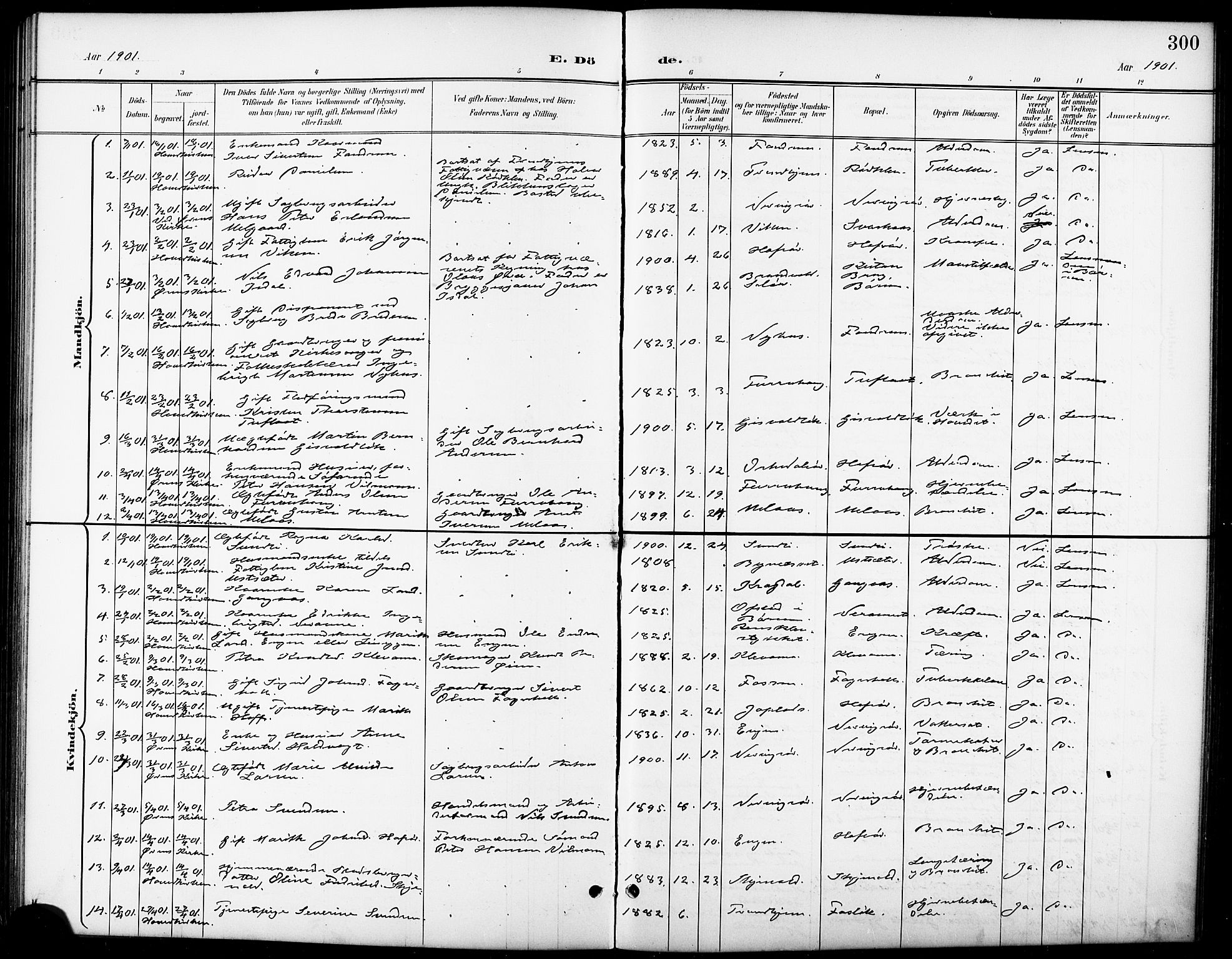 Ministerialprotokoller, klokkerbøker og fødselsregistre - Sør-Trøndelag, SAT/A-1456/668/L0819: Parish register (copy) no. 668C08, 1899-1912, p. 300
