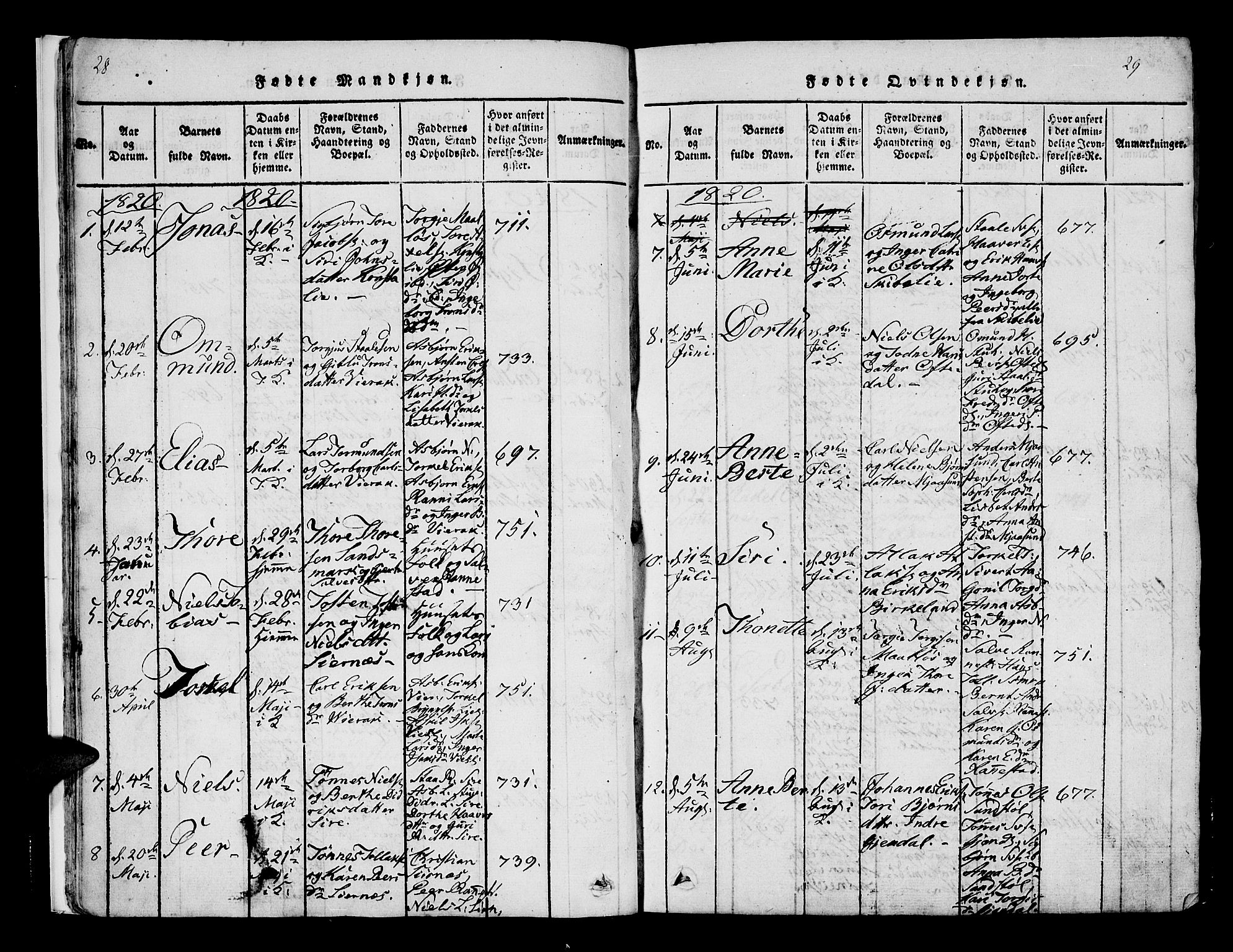 Bakke sokneprestkontor, AV/SAK-1111-0002/F/Fa/Faa/L0003: Parish register (official) no. A 3, 1815-1835, p. 28-29