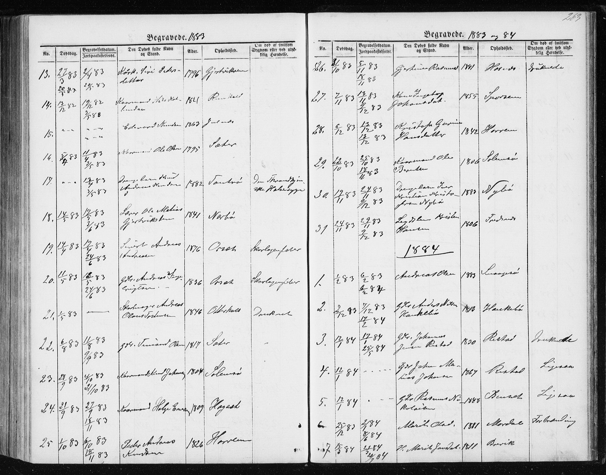 Ministerialprotokoller, klokkerbøker og fødselsregistre - Møre og Romsdal, SAT/A-1454/560/L0724: Parish register (copy) no. 560C01, 1867-1892, p. 263